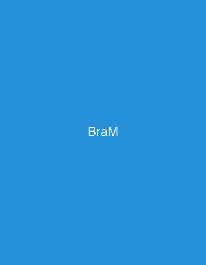 The image displays a uniform, vibrant blue background. The white text "BraM" is centrally positioned within the frame, with the 'B' and 'M' capitalized and the 'r' and 'a' in lowercase. No additional visual content, such as people, objects, actions, or environmental details, is present. There are no discernible features that would associate this image with any specific geographic location, including Casablanca, Morocco.