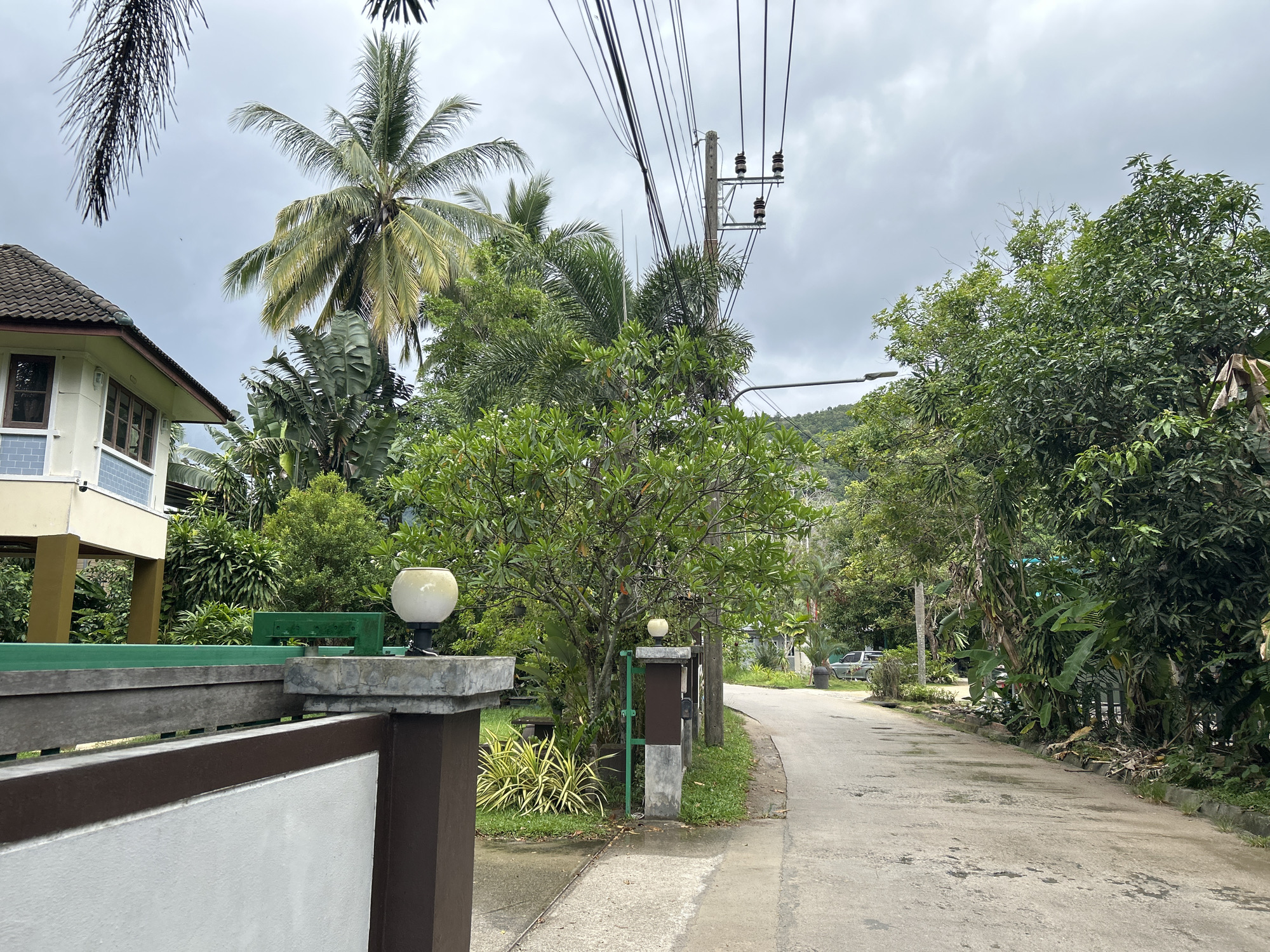 The image captures a quiet, overcast street scene in ตำบลเกาะพะงัน, Thailand, characterized by lush tropical vegetation and residential elements. In the foreground, a brown and white gate structure with a green horizontal bar is prominent, featuring a spherical white lamp on the right gate post. Another similar lamp is visible on a smaller post further inside, alongside a leafy tree with white blossoms.
A narrow, winding concrete road, showing scattered wet patches suggesting recent rain, stretches into the distance. It is lined on both sides by dense, vibrant green foliage, including tall coconut palm trees, large-leafed plants resembling banana trees or traveler's palms, and various other broadleaf trees. On the left, a portion of a house, built on stilts with light yellow walls and a dark tiled roof, is partially visible amidst the greenery.
Overhead, numerous power lines crisscross the frame, connected to a wooden utility pole equipped with ceramic insulators. A street light fixture extends into the upper right corner. In the background, the landscape rises into green, tree-covered hills under a heavily overcast, grey sky. A light-colored vehicle is faintly discernible parked on the right side of the road in the distance. The scene is devoid of people and specific activities, conveying a sense of tranquil tropical scenery during daytime. No visible text is present.