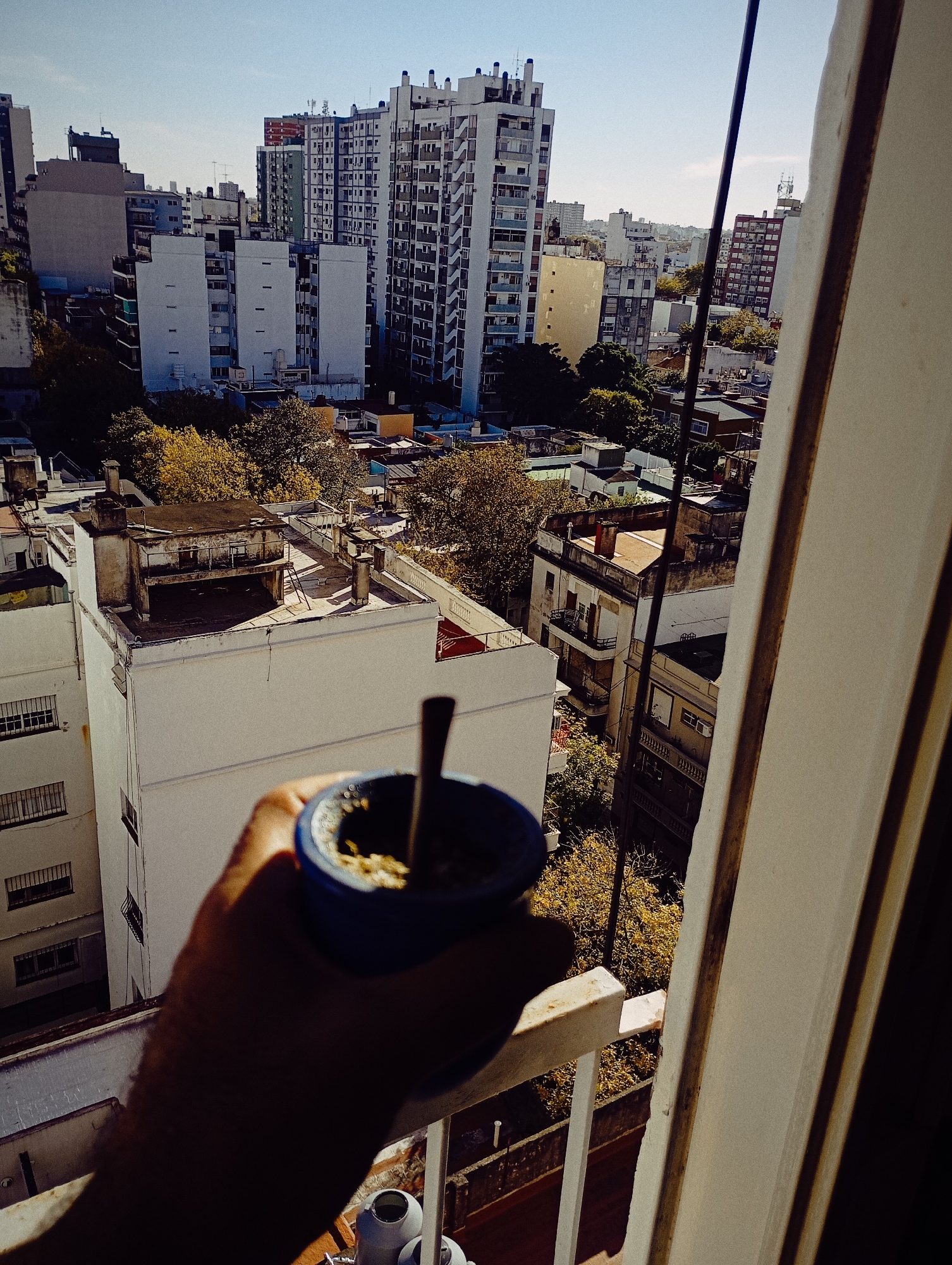 The image presents a high-angle, first-person perspective overlooking a dense urban landscape, characteristic of a large city like Buenos Aires, Argentina. In the immediate foreground, a person's hand and arm are visible, holding a dark blue mate gourd with a bombilla (straw) inserted into the yerba mate inside. The hand is positioned just above a white metal balcony railing, which extends into the lower right of the frame.
Beyond the balcony, the scene opens to a panorama of multi-story buildings under a clear, bright blue sky. Numerous tall residential blocks, primarily white or light-colored, dominate the background and midground, featuring multiple windows and some visible balconies. Interspersed among these modern structures are older buildings with various rooftop details, including chimneys, water tanks, and antennas. Many rooftops are flat and concrete, with some showing signs of wear.
Scattered throughout the urban sprawl are clusters of trees with yellowish-green foliage, suggesting either late summer or autumn. The strong sunlight casts distinct shadows across the buildings and ground, indicating a clear, sunny day, likely in the late morning or early afternoon. A thick, dark support beam or pillar runs vertically along the right side of the image, framing the view. The overall impression is one of a serene, contemplative moment, enjoying a traditional mate drink while overlooking a vibrant city waking up or moving through its day. No visible text is present in the image.