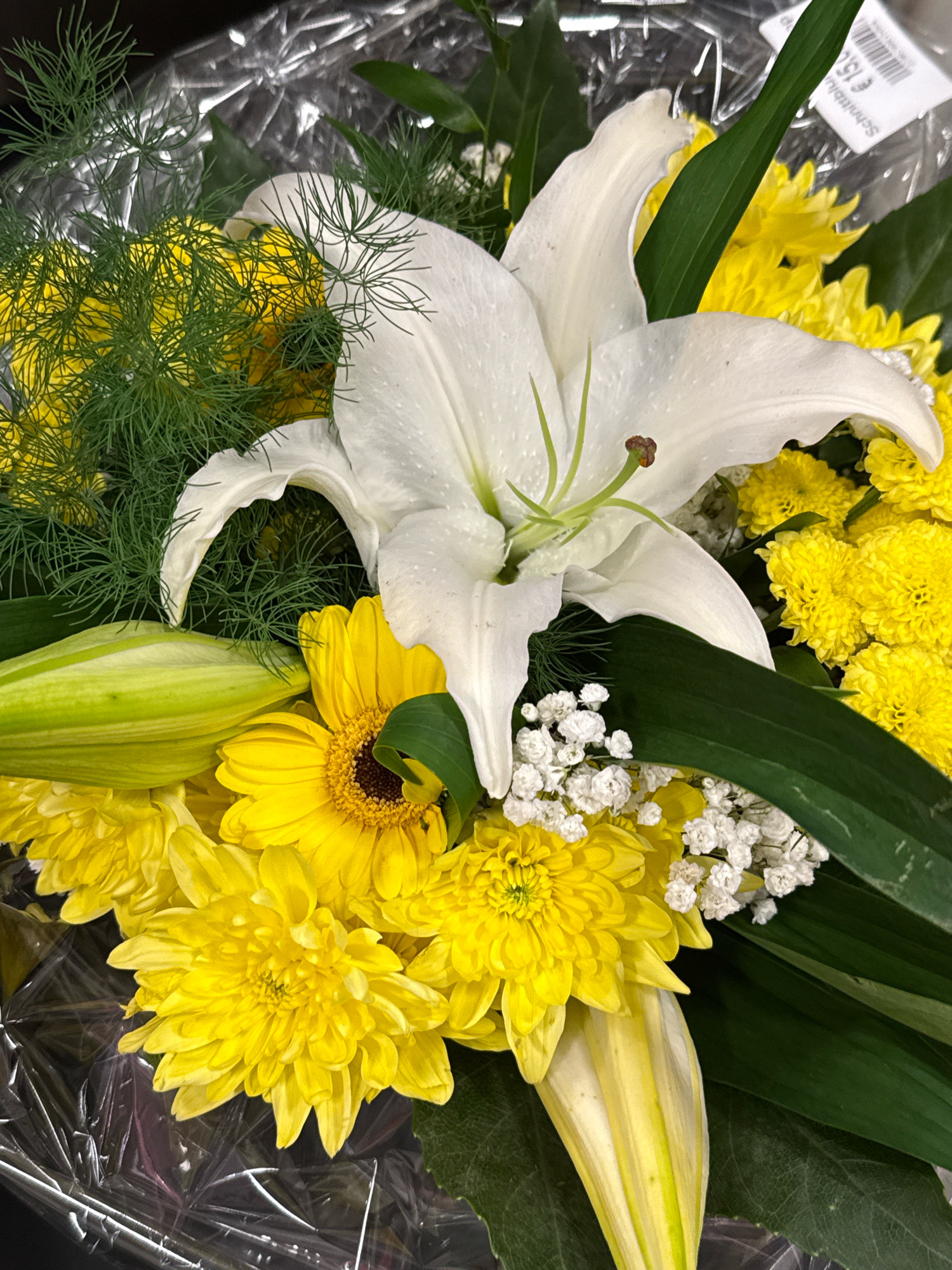 A close-up, overhead shot showcases a vibrant bouquet of mixed flowers, predominantly in shades of yellow and white, arranged with lush green foliage. At the heart of the arrangement is a striking white lily, its petals unfurling elegantly. Surrounding the lily are numerous yellow chrysanthemums, their dense petals creating a rich texture. A single yellow gerbera daisy, with its characteristic dark center and bright petals, adds another focal point. Delicate sprigs of baby's breath, a scattering of tiny white flowers, provide a lacy contrast to the bolder blooms. Long, slender green leaves and thin, feathery green fronds weave through the bouquet, adding depth and volume. The bouquet is partially wrapped in clear plastic sheeting, reflecting light and adding a glossy finish. A price tag with German text and currency symbols is visible on the upper right, indicating this arrangement was likely purchased in a retail setting in Bad Lauterberg im Harz, Germany.