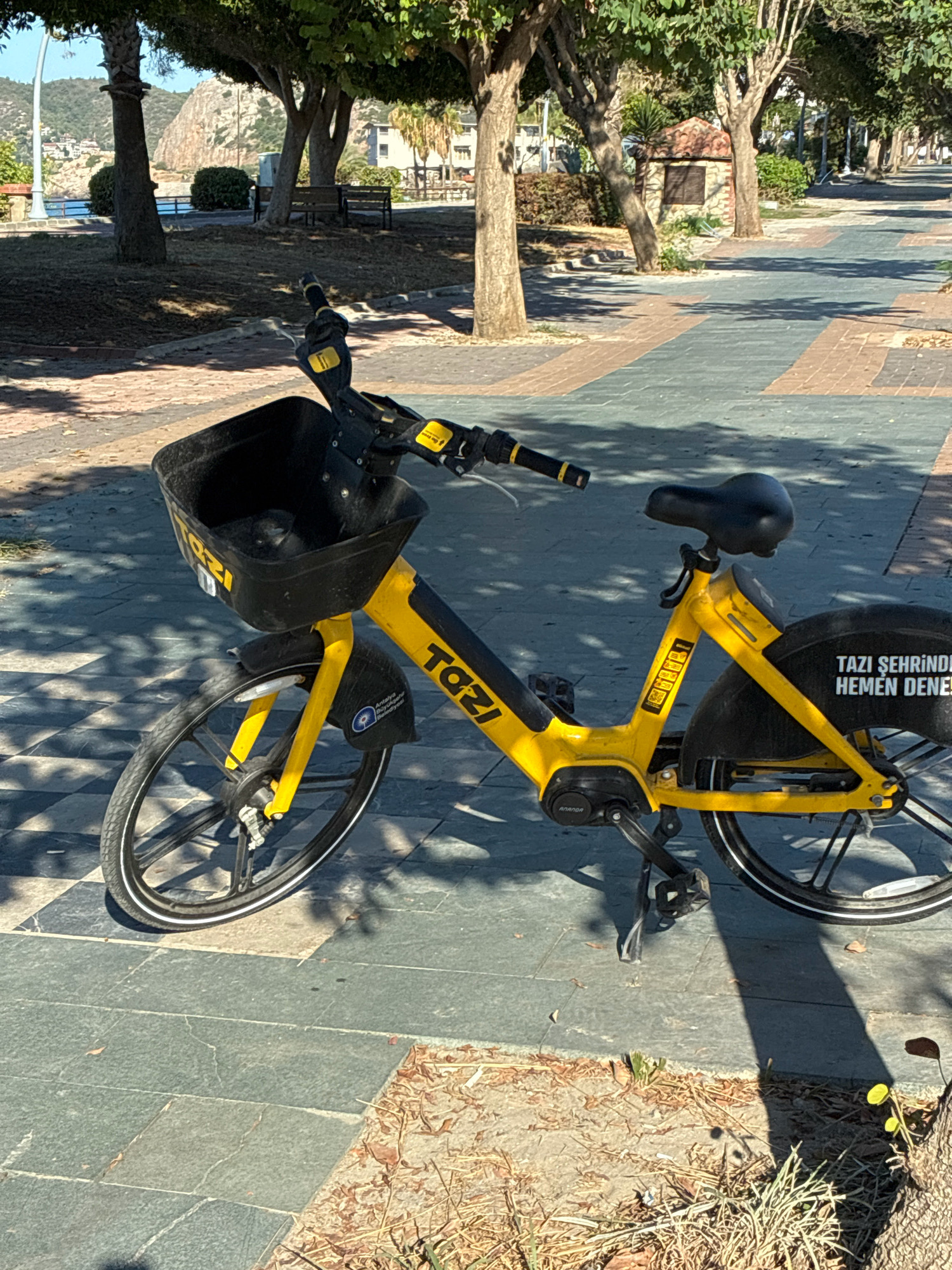 A yellow shared bicycle, identified by the brand "Tazi", is parked on a pedestrian walkway in Alanya, Turkey. The bicycle is positioned in the foreground, angled slightly towards the viewer's left. It features a black basket in the front, a black seat, and a black fender over the rear wheel. Text on the fender reads "Tazi Şehrinde Hemen Dene", which translates to "Try it now in Tazi city".
The walkway is paved with patterned tiles, alternating between grey and a tan or light brown color. Sunlight casts dappled shadows from nearby trees onto the walkway and the bicycle. In the background, the scene depicts a park-like setting with trees, benches, and a glimpse of buildings and the sea, suggesting a coastal urban environment. The overall impression is a sunny day in a public recreational area. There are no people visible in the image.