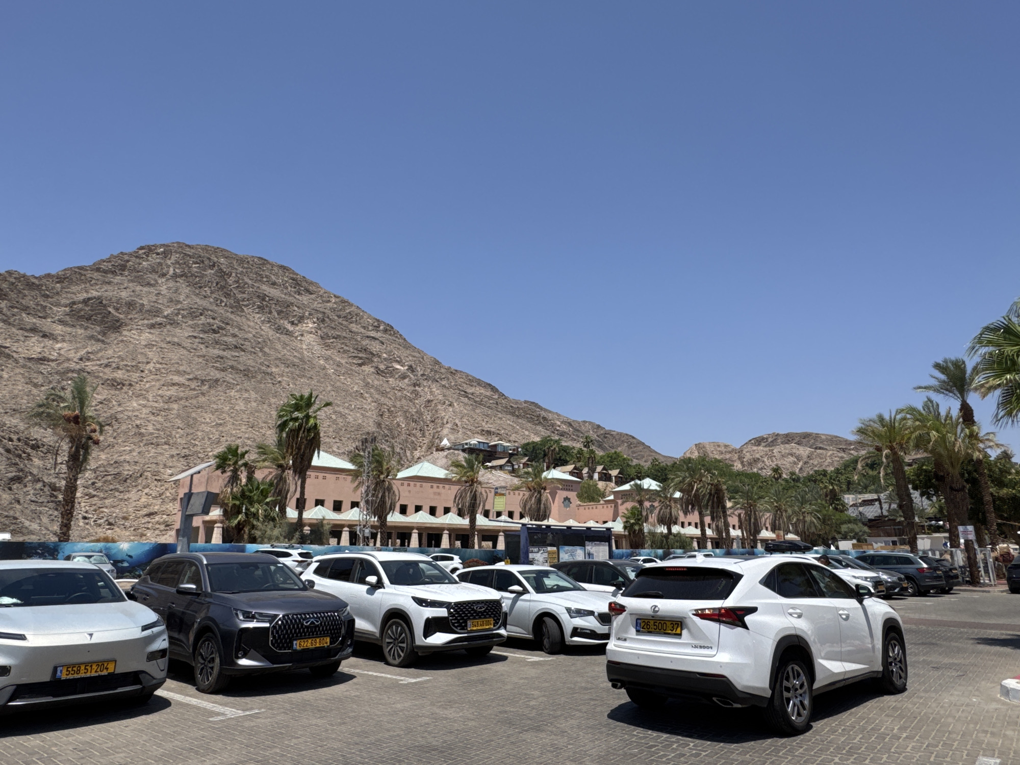 This is a photograph of a parking lot in Eilat, Israel, with a backdrop of arid mountains and palm trees. In the foreground, several cars are parked. The leftmost car is a silver electric vehicle with a license plate that reads "558 51 204". To its right is a dark gray SUV with a license plate "622 69 804". A white SUV with license plate "1543 AB 004" is parked next to the dark gray SUV. To the right of that, a white sedan is visible. Further to the right, a white Lexus NX SUV is prominently featured, with license plate "26 500 37". In the background, buildings with pink facades and green roofs are nestled among lush palm trees. The sky is clear and blue. The overall scene depicts a sunny day in a resort-like setting.