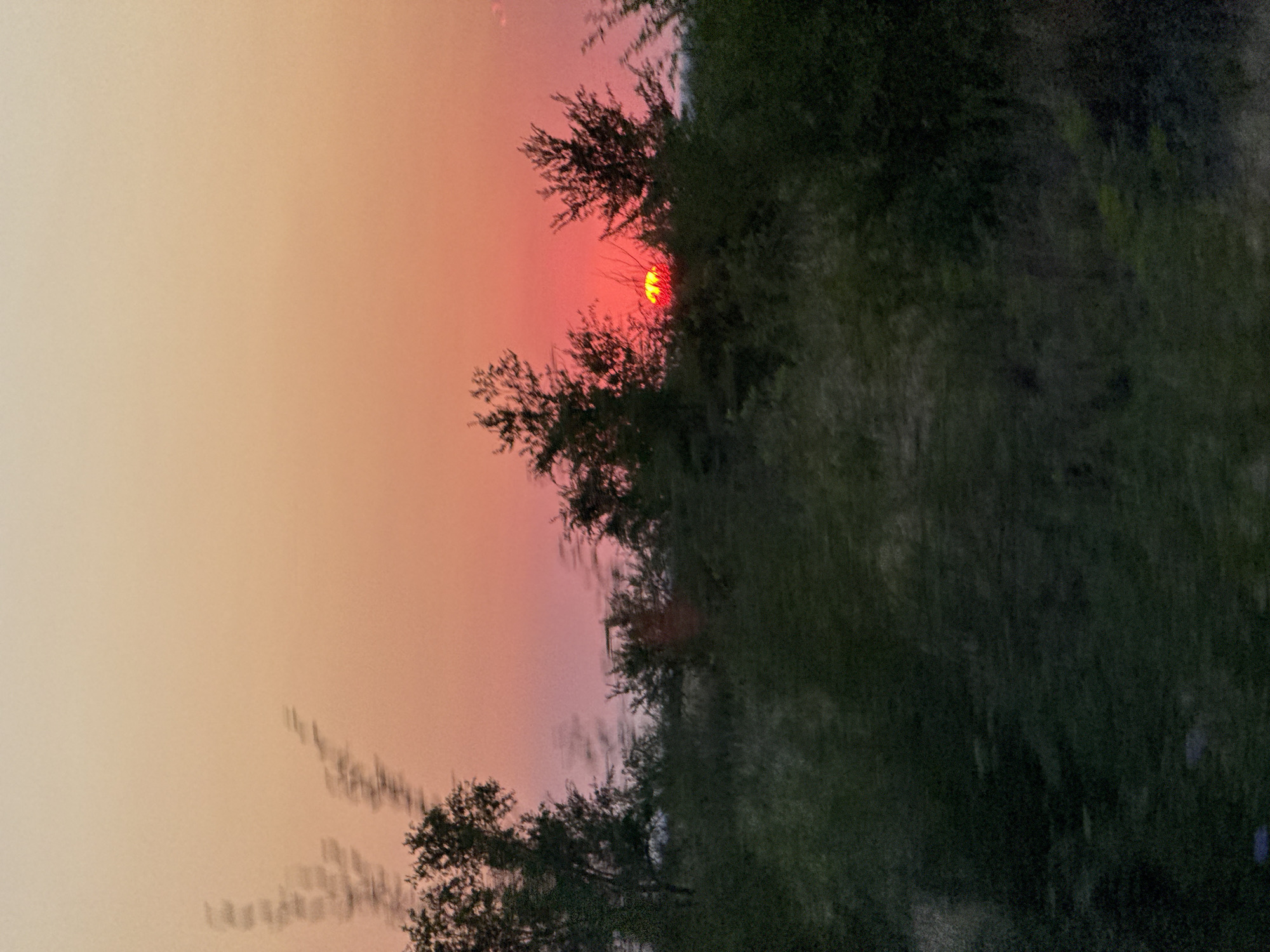 The image shows a blurry sunset over a rural landscape. The sky is a gradient of peachy-orange to pale yellow. In the middle ground, silhouetted trees and bushes are visible against the bright orange and red glow of the setting sun, which is partially obscured by foliage. The foreground is dominated by dark, out-of-focus greenery. There are no people or specific man-made structures clearly identifiable in the scene. The overall impression is one of a natural setting at dusk, likely in an area with vegetation. The image's blurriness suggests motion during capture, possibly from a vehicle. The location is identified as Пугачёв ауылдық округі, Kazakhstan.