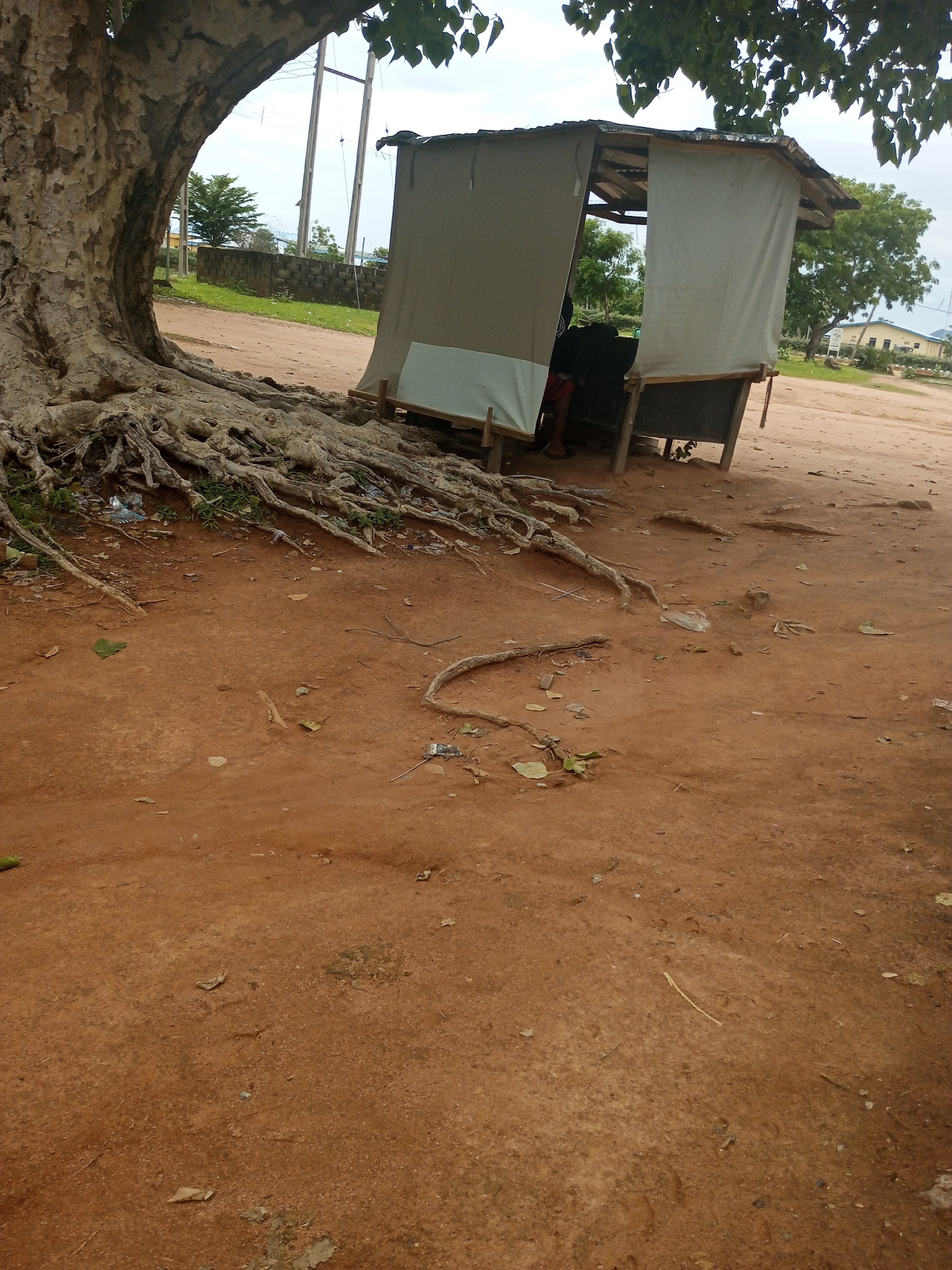 This image depicts an outdoor scene under a cloudy sky. The foreground is dominated by the reddish-brown earth and the exposed, gnarled roots of a large tree on the left. A makeshift stall, constructed with a wooden frame and covered with a light-colored fabric, is situated towards the right of the image, partially shaded by the tree's foliage. Inside the stall, a person is seated, partially obscured by the fabric. The stall has a simple wooden counter. In the background, a dirt road is visible, bordered by a low stone wall and green grass. Further back, trees and buildings, including what appears to be a light-colored structure with a blue roof, can be seen under the overcast sky. Utility poles are also present in the background, suggesting an inhabited area. The overall impression is one of a rural or semi-urban setting, possibly in Jalingo, Nigeria. The time of day appears to be daytime, given the ambient light, but the cloudy weather suggests the sun is not directly visible. There is no visible text in the image.
