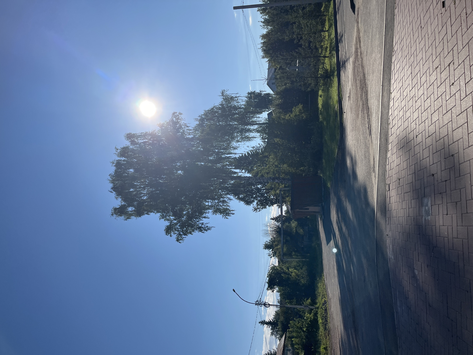 The image depicts a sunlit outdoor scene with a bright blue sky. In the center, a large tree with hanging branches dominates the frame, partially obscuring the sun which is a bright orb in the upper right quadrant of the sky, casting lens flares. The foreground features a red brick paved area, transitioning to a grey asphalt road. Along the road, there is a variety of greenery, including trees and bushes. A single lamppost stands on the left side of the road, and a small wooden structure is visible on the right, behind a fence. The overall impression is of a residential or semi-rural area on a clear day.