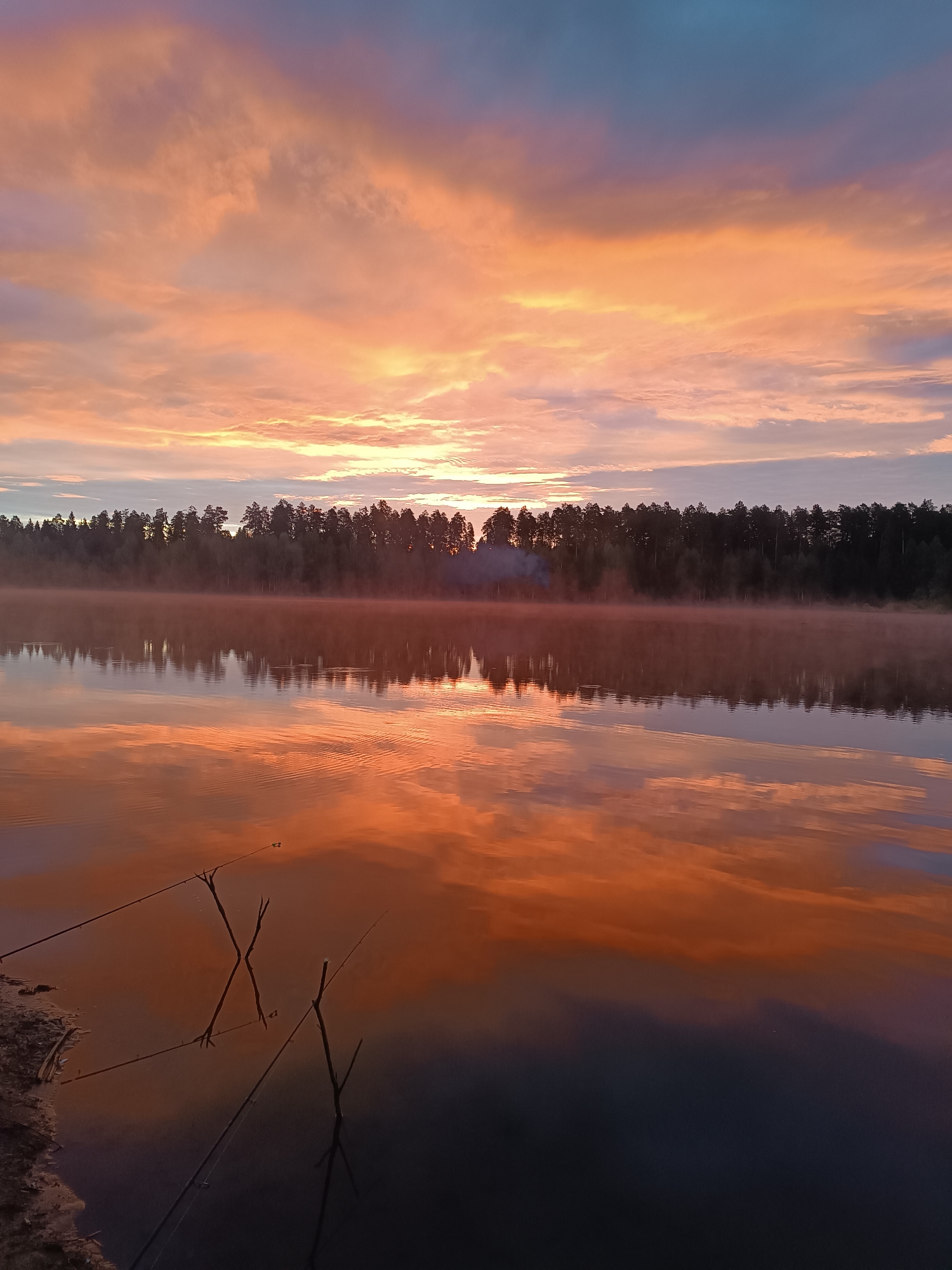 An outdoor scene at Opary, Russia, captures a tranquil lake at sunrise. The sky is ablaze with a gradient of colors, from deep blue at the top to vibrant orange and pink hues near the horizon, painted with wispy clouds. A dense line of dark green trees borders the far side of the lake. The calm water perfectly mirrors the sky's dramatic colors and the treeline, creating a symmetrical and serene reflection. In the foreground, the lake's edge is visible, with sand and scattered debris. Three fishing rods, propped up by sticks, are partially submerged in the water near the shore, suggesting a fishing activity. A light mist hovers over the water's surface, particularly near the treeline, adding to the atmospheric effect of the early morning.
