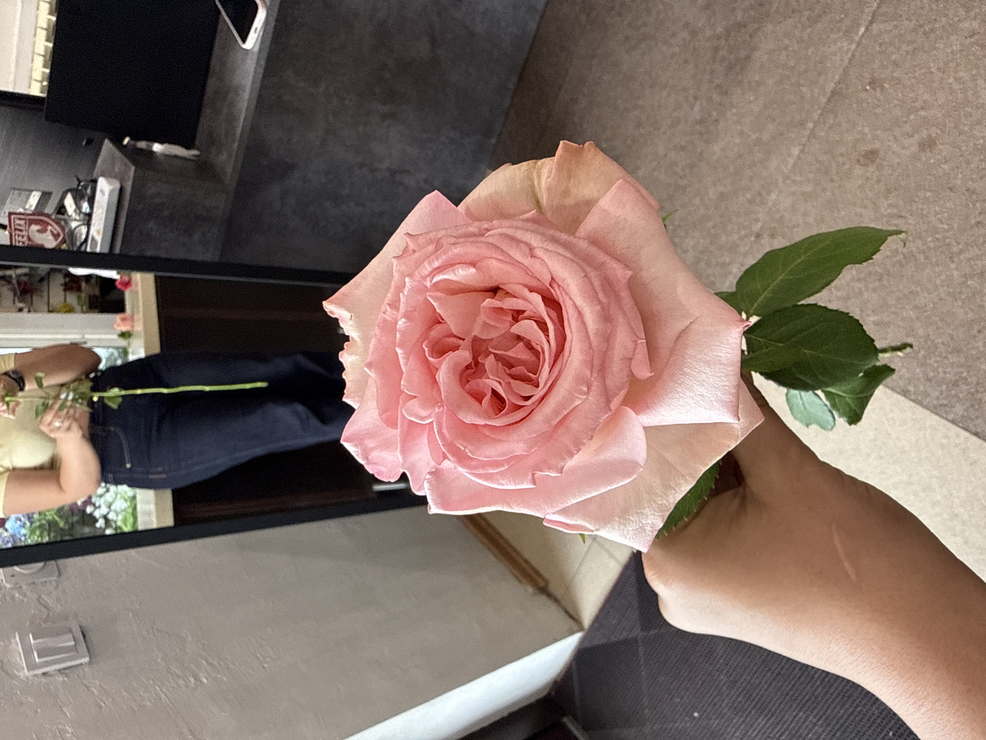 A close-up, vertically oriented shot shows a hand holding a light pink rose, its petals delicately unfurling. The rose, the central subject, is illuminated by soft light, highlighting its intricate layers and the slight blush of peach on its outer edges. Green leaves with a matte finish extend from the stem, adding a contrasting touch of color. The hand holding the rose has light skin and is captured from the wrist down.
In the background, a blurred scene offers glimpses of a domestic setting. A dark surface, possibly a countertop or table, is visible, with a few indistinct objects on it. Below this, a person is partially visible, wearing a yellow top and dark blue jeans. They are holding a green stem, suggesting they are also holding flowers. The overall lighting suggests it could be daytime, indoors. There is no discernible text in the image. The focus is clearly on the rose, evoking a sense of calm and appreciation for nature's beauty.