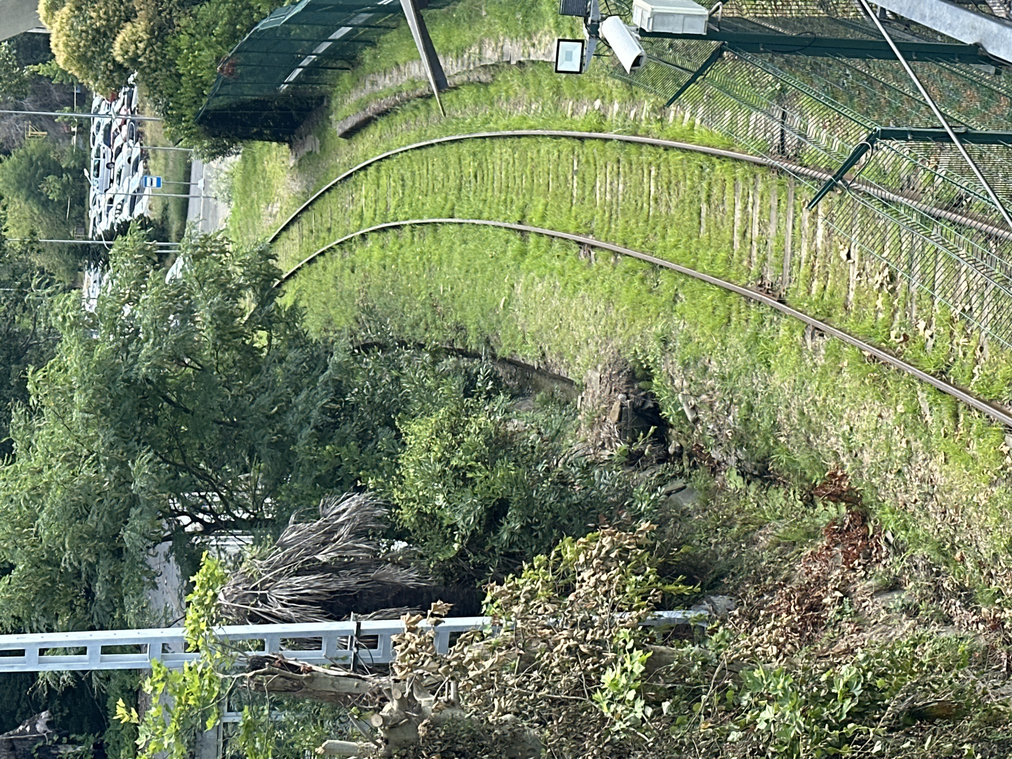 The image shows a set of train tracks curving through a grassy embankment. To the left, a tall metal utility pole stands beside a tree stump covered in dead foliage. The tracks are lined with a green metal fence, beyond which is a parking lot filled with cars and a few buildings. The scene appears to be in a semi-urban or suburban area with abundant greenery. The specific location is the Sochi Autodrom, located in Adler, Sochi, Russia.