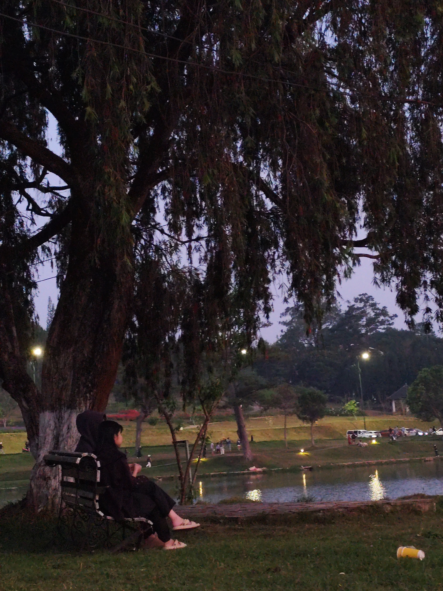 Two people sit on a park bench under a large, weeping tree, near a body of water. They are located in Da Lat, Vietnam, likely near Xuan Huong Lake. The person on the left wears a dark-colored hijab. In the background, there are more people, cars, streetlights, and trees. The scene appears to be at dusk or twilight.