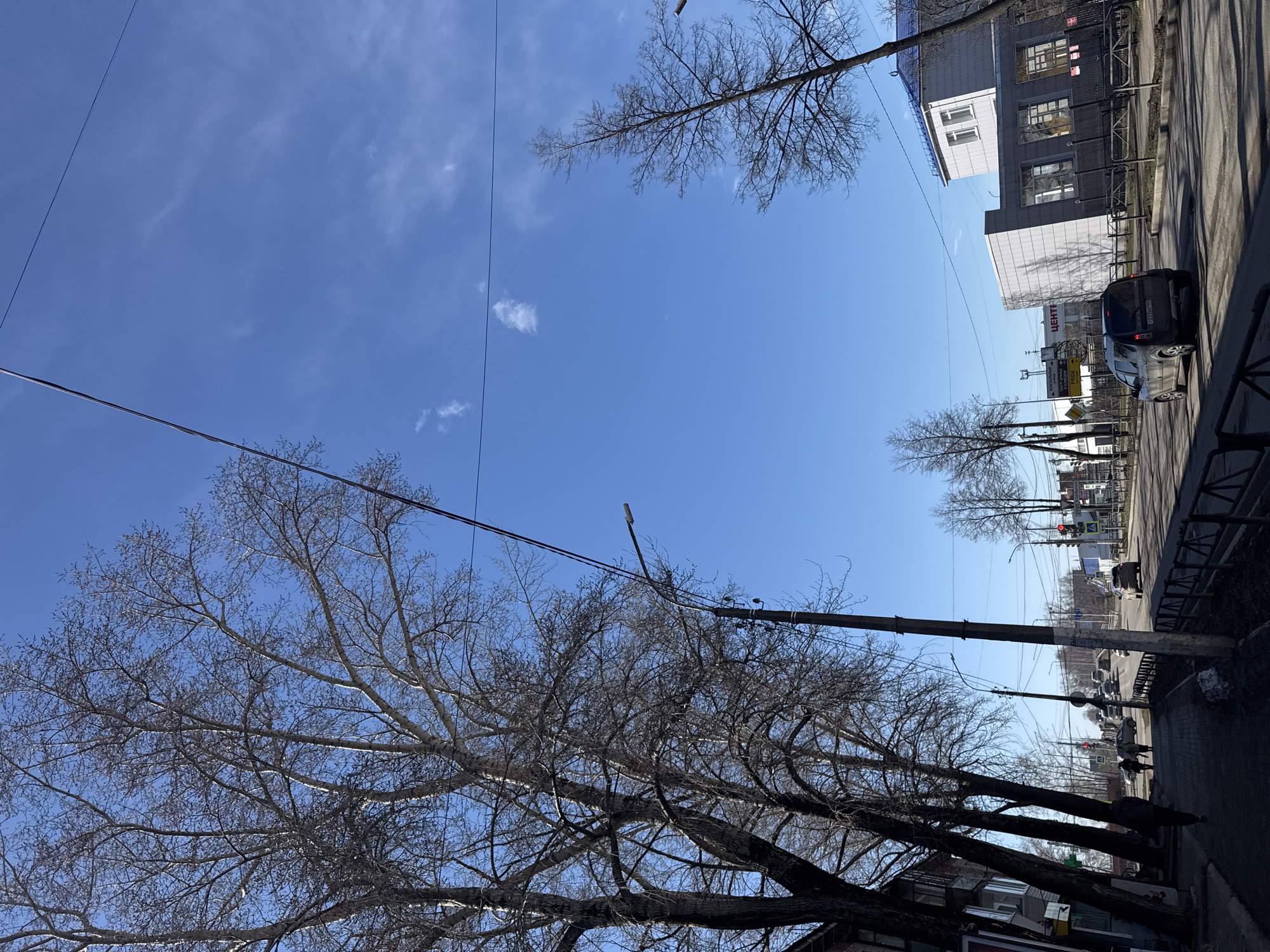 The image captures a street scene in Chaikovsky, Russia, under a clear blue sky with some scattered light clouds. Power lines traverse the upper portion of the frame. Deciduous trees, bare of leaves, line the left side of the street, obscuring a portion of the buildings. On the right side of the street, several buildings are visible, including a white and gray building with dark-framed windows. A dark-colored car is parked along the street. Farther down the street, other cars and pedestrians are visible, although they are not in sharp focus. Streetlights are seen at intervals along the sidewalk. The overall impression is that of a typical urban street in early spring or late autumn.