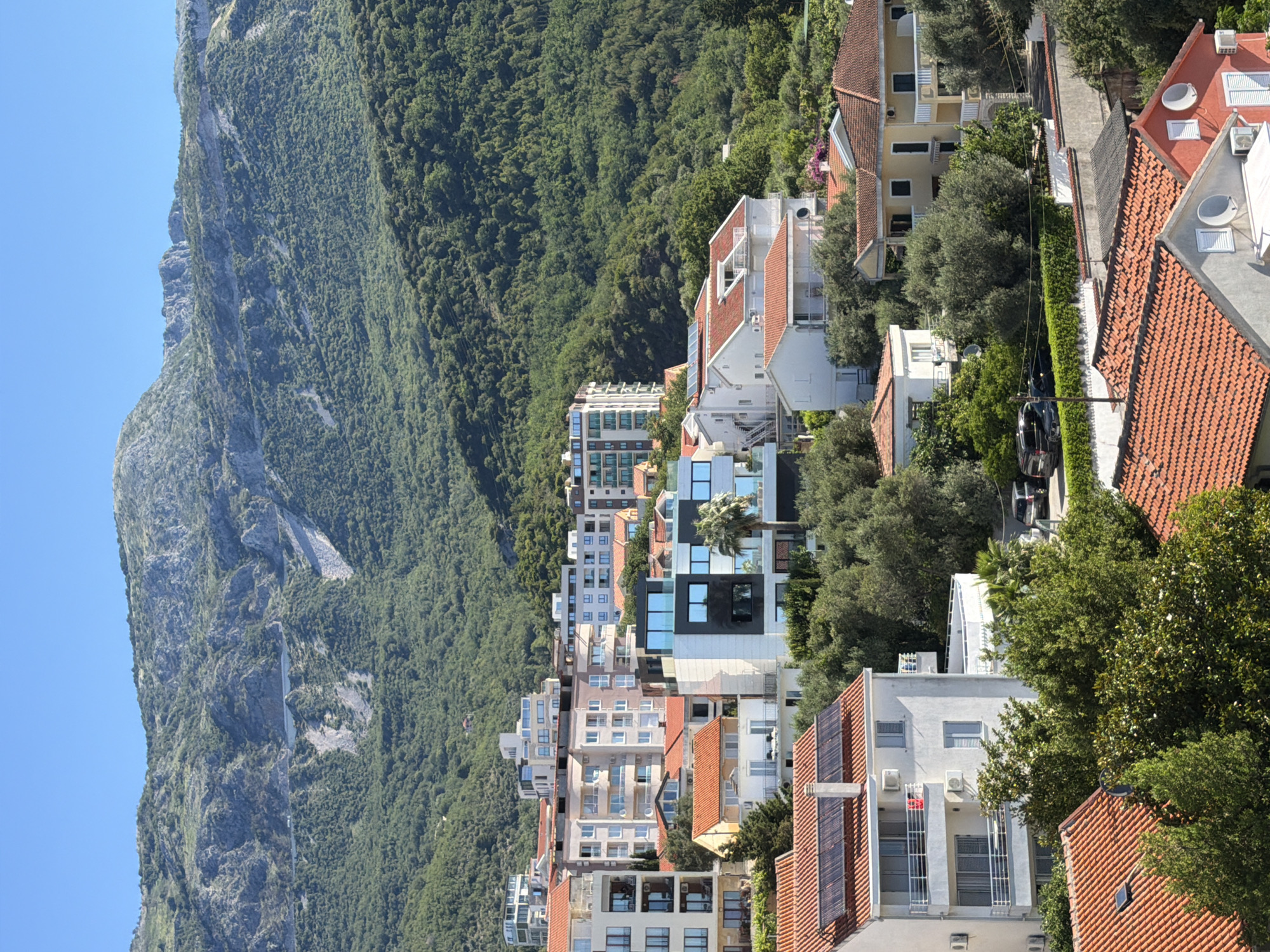 The image depicts a panoramic view of a coastal town nestled against a verdant, mountainous backdrop. The foreground is dominated by residential buildings with red-tiled roofs, some featuring solar panels. Beyond these, a cluster of multi-story apartment buildings rises, characterized by a mix of modern architectural styles with balconies and large windows. The buildings are interspersed with lush green trees. In the distance, a dense forest covers the slopes of a rugged mountain range, with a clear blue sky overhead. The location is identified as Boreti, Montenegro.