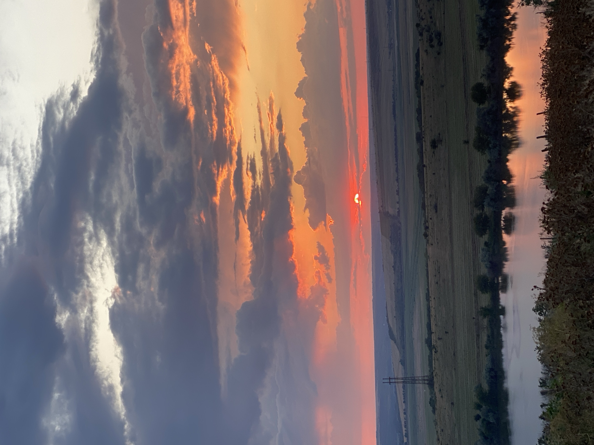 A wide-angle, vertical photograph depicts a dramatic sunset over a rural landscape near Cairaclia, Moldova. The sky is filled with a gradient of colors, from deep gray clouds tinged with fiery orange and pink to a pale, almost white sky at the top. The sun, a small, intense red orb, is partially obscured by clouds near the horizon.
Below the sky, a rolling landscape unfolds. The middle ground features green fields, some appearing to be cultivated, with patches of dry grass. A tall, singular metal electricity pylon stands prominently on the left side of the frame. In the foreground, a body of water, likely a river, reflects the vibrant colors of the sunset. The water's surface is mostly calm, with gentle ripples. Along the far bank of the river, a line of trees and dense foliage is visible, their shapes distorted in the reflection. The very foreground is occupied by out-of-focus vegetation, including dry grasses and dark bushes, suggesting the viewpoint is from an elevated position. The scene is devoid of any people or visible activity, emphasizing the natural beauty of the sunset.