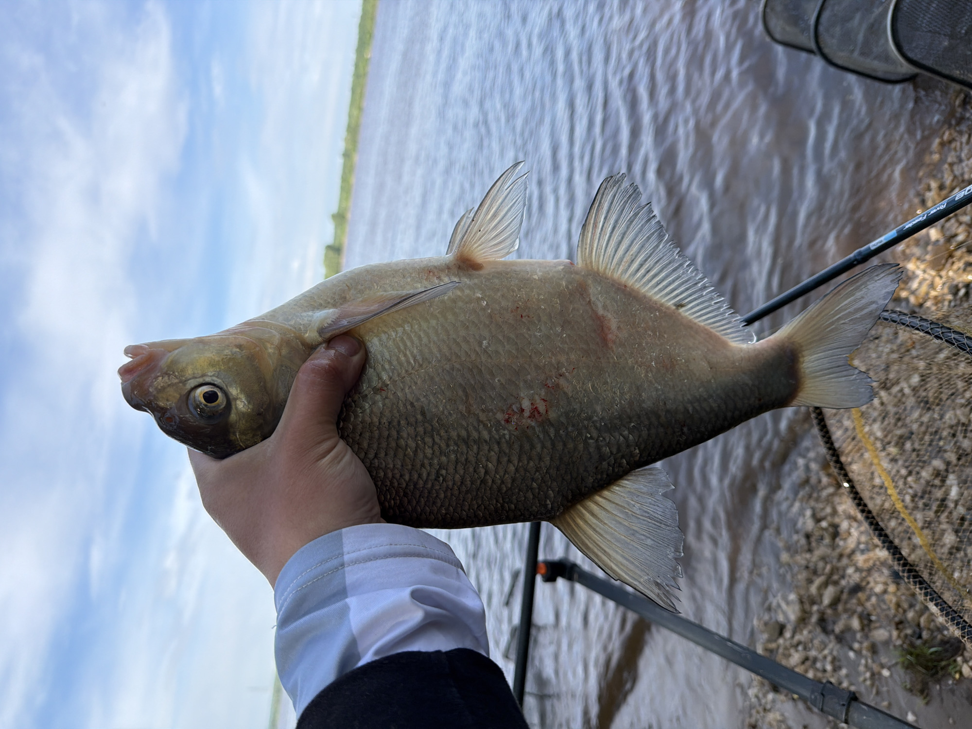 A hand holds a fish, likely a bream, against a backdrop of water, sky, and distant green landscape. The location is suggested to be near the city of Noviy, Russia. The fish is the main subject, displaying its scales, fins, and eye. The hand holding it is visible from the sleeve up. A fishing net and rod are partially visible near the right side of the fish. The water is slightly choppy and muddy, while the sky is partly cloudy. The distant green landscape appears flat.