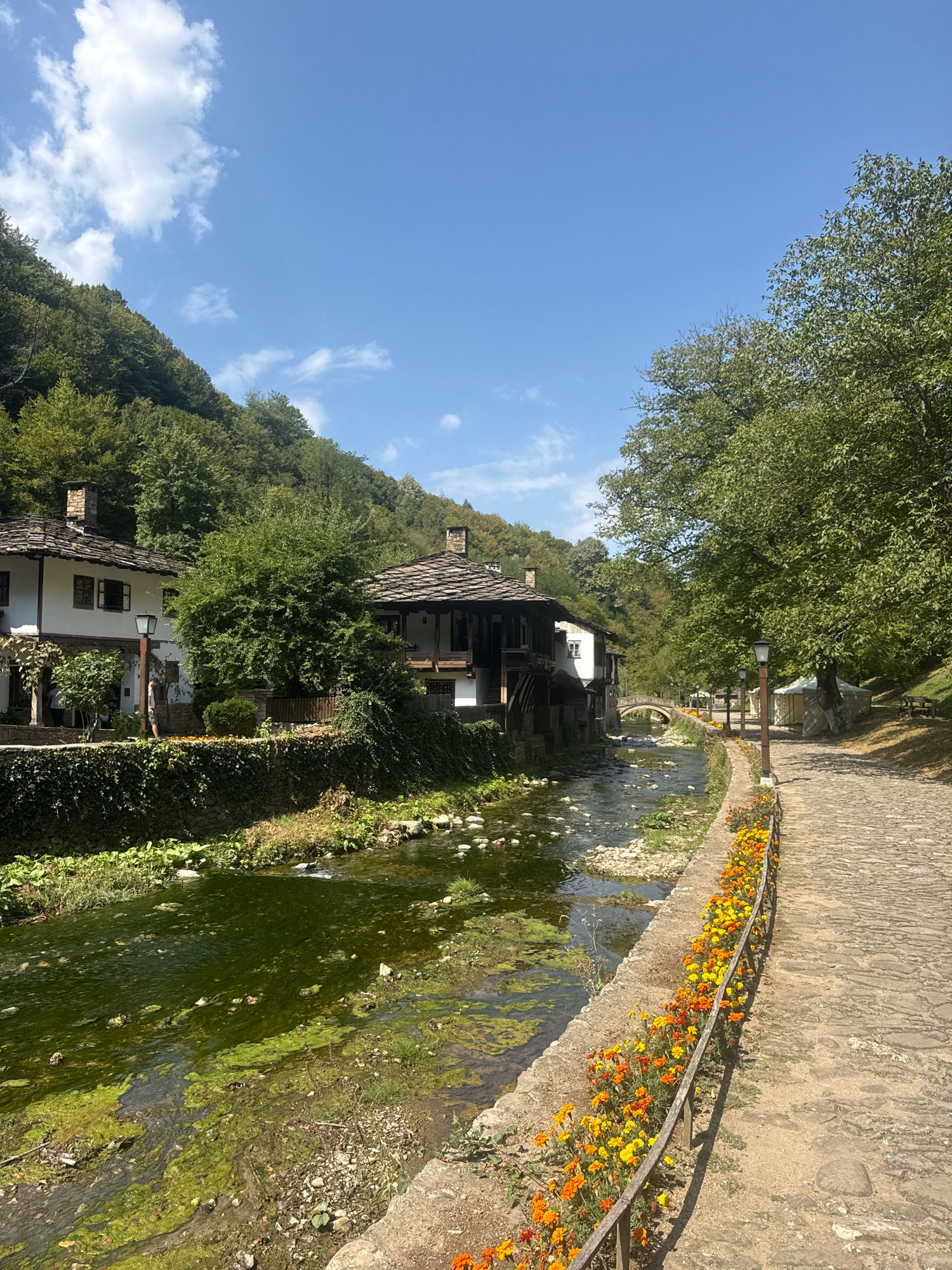 This image depicts the Ethnographic Museum "SOUBOK-RAY". The museum is located in the city of Gabrovo, Bulgaria, along the Yantra River. The scene shows a picturesque setting with traditional Bulgarian architecture, a flowing river, and lush greenery.
In the foreground, a cobblestone path runs alongside the Yantra River. The path is bordered by a low wooden fence adorned with vibrant marigold flowers in shades of orange and yellow. The river itself is shallow, with visible rocks and patches of green algae floating on its surface.
Along the left bank of the river, several traditional houses with stone foundations and wooden structures are visible. These houses have characteristic tiled roofs and stone chimneys. One of the houses appears to be a watermill, with a visible wheel mechanism. Ivy and other greenery climb the walls of these buildings, adding to the rustic charm.
Further in the distance, a stone bridge spans the Yantra River. The background is dominated by a densely forested hillside, with tall trees reaching towards a clear blue sky dotted with fluffy white clouds. The overall atmosphere is serene and evokes a sense of historical preservation and natural beauty.