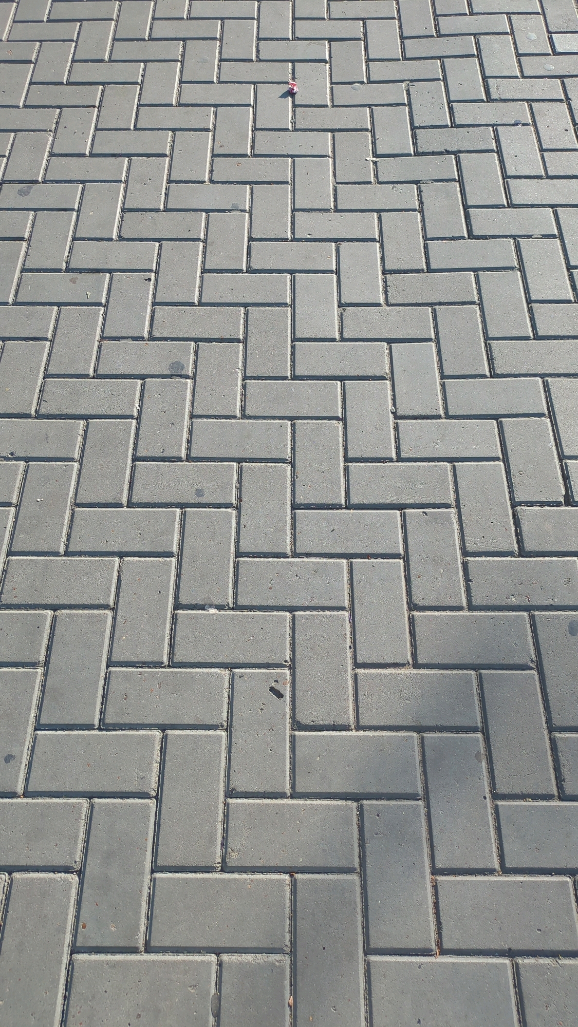 The image shows a close-up, overhead view of a gray brick-paved walkway in Chișinău, Moldova. The bricks are laid in a herringbone pattern. A small, colorful piece of litter, possibly a candy wrapper, is visible near the top center of the image. The lighting suggests it is daytime, with shadows cast by the bricks, indicating sunlight. The scene is devoid of any people or significant activity, focusing solely on the texture and pattern of the pavement.
