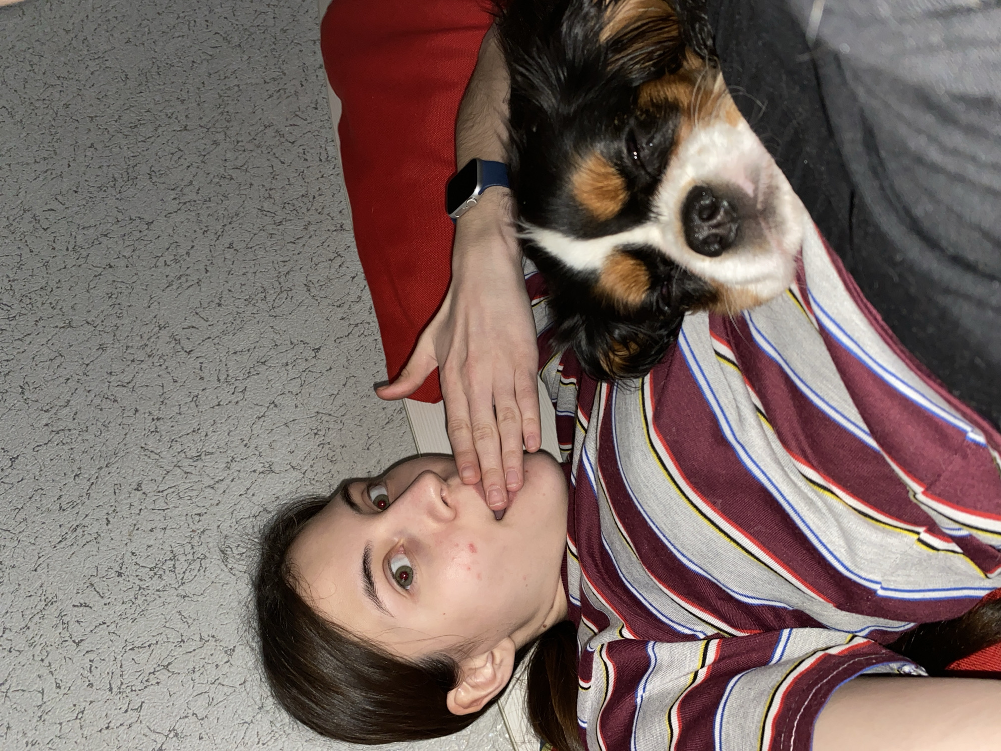 This indoor photograph, taken in Votkinsk, Russia, features a young woman and a tricolor dog, appearing to be captured in a candid moment. The woman is lying on her side, facing the camera with a wide-eyed, surprised or playfully shocked expression. Her right hand, with light skin and neatly trimmed nails, covers part of her mouth. She has dark hair and is wearing a striped top with maroon, gray, white, blue, yellow, and black stripes.
Adjacent to the woman and partially obscuring her, a person's arm is visible, adorned with a blue-banded smartwatch that has a silver or gray casing. Resting near this arm and the woman's shoulder is a tricolor dog, resembling a Cavalier King Charles Spaniel, with distinctive black, tan, and white markings on its fur. The dog's head is visible, and it looks towards the camera with a calm, almost sleepy expression.
Both subjects appear to be resting on or alongside a soft, red fabric, possibly a cushion or blanket. The background consists of a light gray surface with a fine, textured pattern, suggesting a floor or wall. The lighting in the image indicates an indoor setting, likely under artificial light. There is no visible text in the image. The scene conveys a relaxed and intimate interaction between the woman, the dog, and implicitly, the person whose arm is present.
