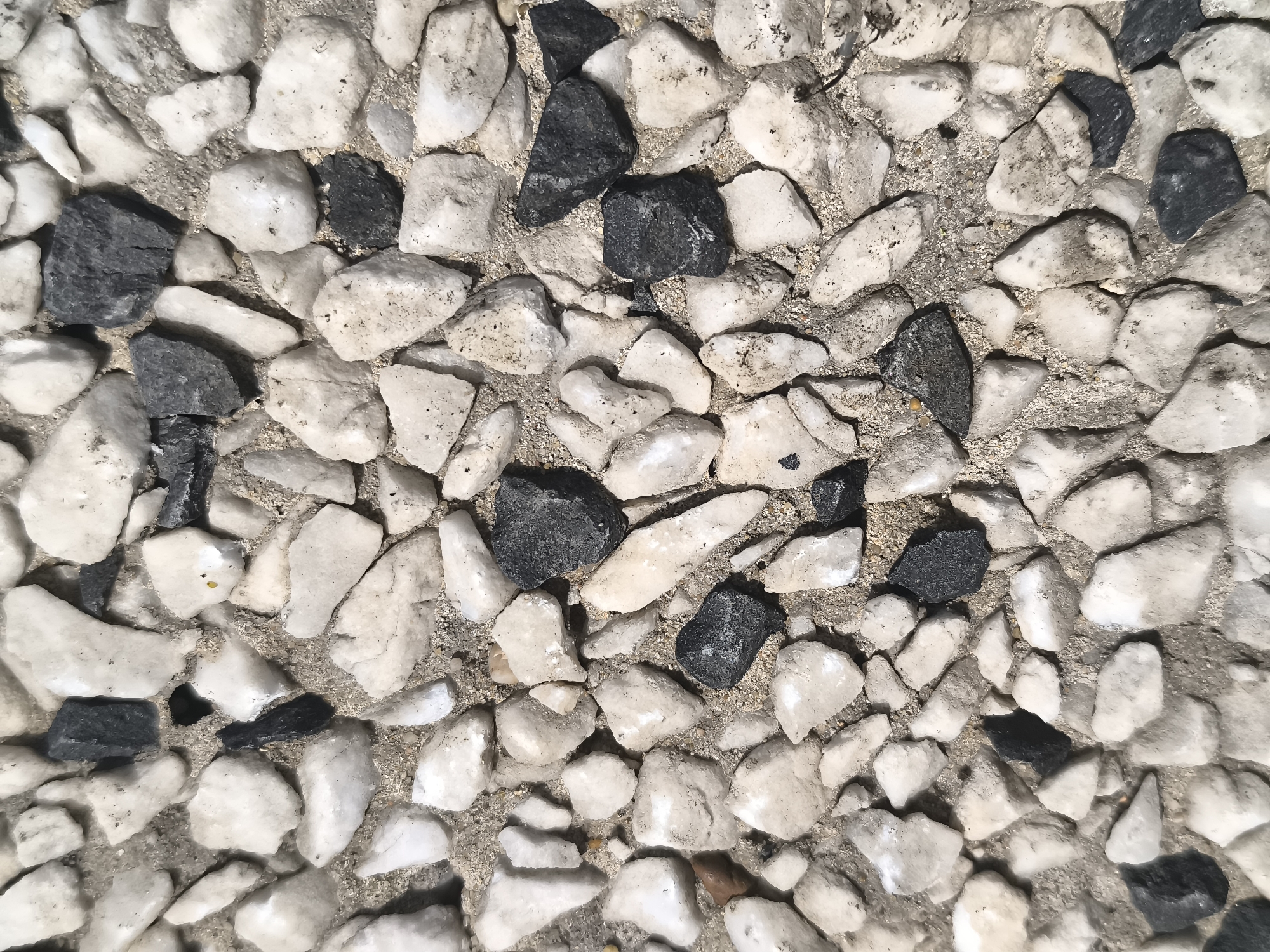 This is a close-up, overhead, high-angle, full-frame, eye-level shot of a cobblestone path in Boskoop, Netherlands. The path is composed of a mixture of light-colored, irregular-shaped stones and dark-colored, irregular-shaped stones, set in a rough, sandy-colored mortar. The stones vary in size and shape, with some being rounded and others more angular. The surface appears to be dry. The lighting suggests it is daytime. There are no people, animals, or other objects visible in the image.