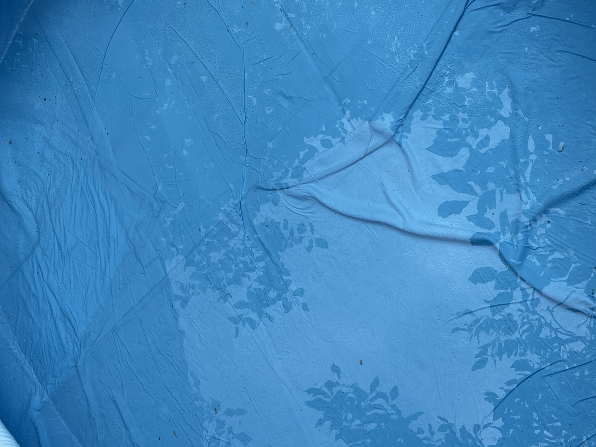The image is a close-up, overhead shot of a wrinkled, bright blue plastic surface, likely a tarp or the liner of a pool. The surface is partially covered in water, creating a sheen and distorting the texture. Shadowy silhouettes of leaves and branches are cast across the blue material, suggesting the presence of trees or other vegetation nearby, possibly outdoors. The water creates darker, more saturated blue areas where it has pooled. The overall impression is one of dampness and natural elements interacting with an artificial surface. There is no discernible location in Bishkek City, Kyrgyzstan, as the image lacks any identifying landmarks or context.