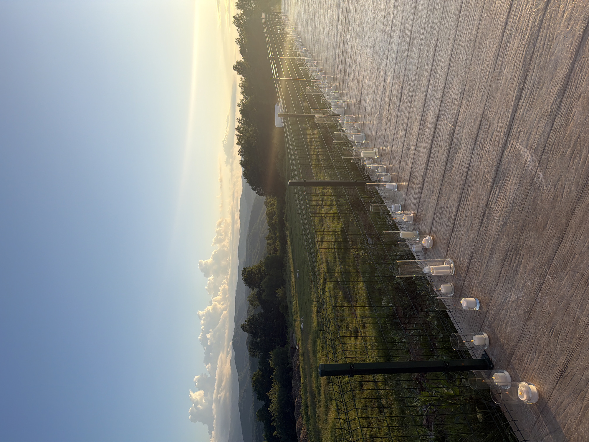 The image shows a landscape at sunset in Gabrovo, Bulgaria. A row of clear cylindrical glass candle holders, each containing a lit white candle, runs along the edge of a textured wooden surface. A metal fence separates the wooden surface from a grassy field that slopes downhill, leading towards trees and mountains in the distance. The sky transitions from blue on the left to a golden color near the horizon where there are cumulus clouds. The location appears to be elevated.