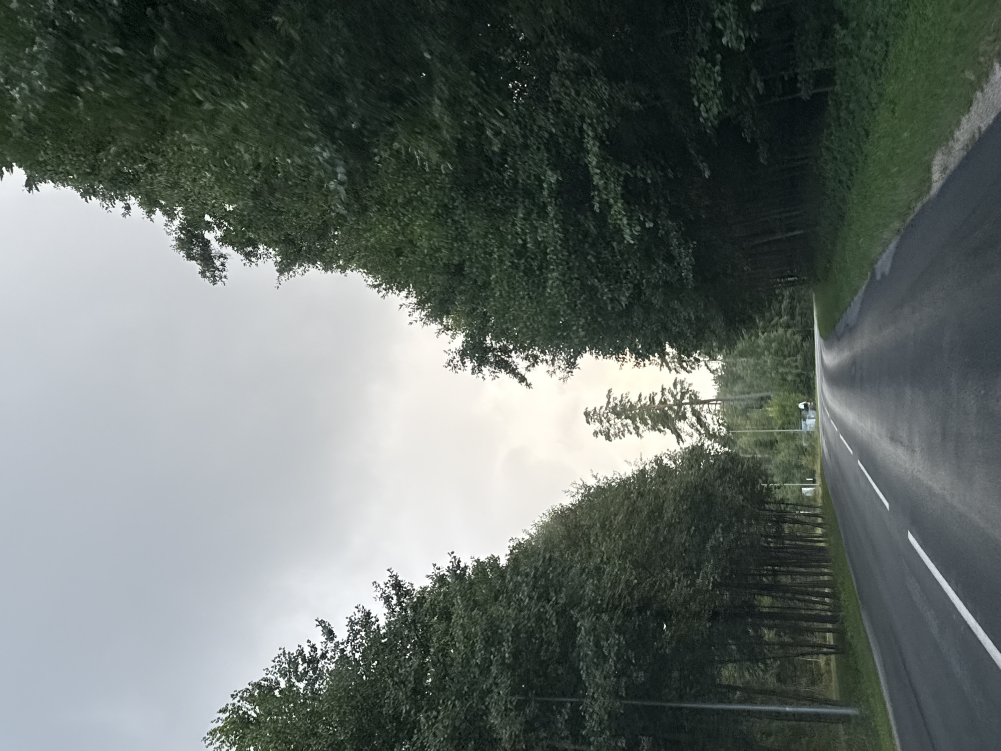 An overcast sky looms above a two-lane asphalt road in Kangru alevik, Estonia. The road is bordered by dense trees on both sides, forming a canopy that creates a tunnel effect. The trees on the left are taller and closer to the road, with some visible streetlights interspersed amongst them. The trees on the right are also dense and lush, with a grassy verge bordering the road. The road itself has white lines marking the lanes, and appears wet, suggesting recent rain. In the distance, the road curves to the right, and a few more trees can be seen along with a distant structure, possibly a building or a power line pole. There are no people or vehicles visible in the image.