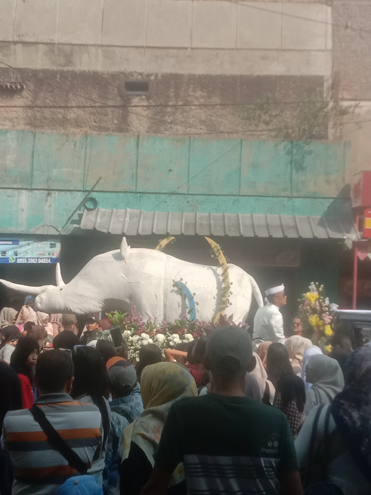 The image depicts a street scene in Cianjur, Indonesia, likely during a parade or festival, given the presence of a large, white rhinoceros effigy. The effigy is decorated with a yellow garland and appears to be the central focus of the event. A crowd of people, many wearing headscarves and traditional clothing, are gathered around the effigy, some holding up phones to take pictures. In the background, a building with a teal-colored facade and a concrete upper story is visible. A sign with Indonesian text and a phone number is also present on the left side of the image. The overall atmosphere suggests a community gathering or celebration.