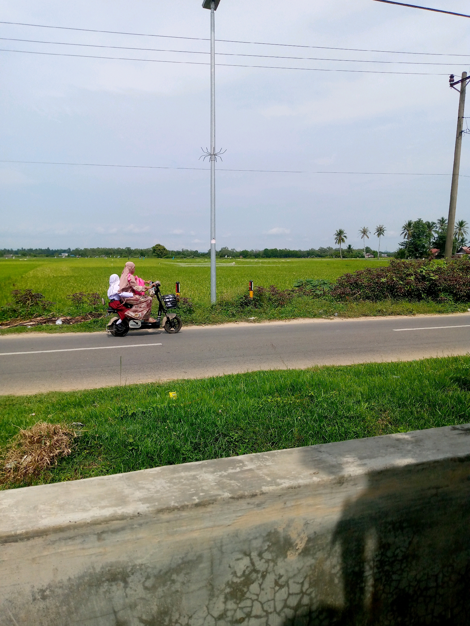 A mother and child ride a red and white electric scooter on a paved road. The mother is wearing a pink hijab and a patterned dress, while the child is wearing a white hijab and a red skirt. They are traveling past a lush green rice field under a cloudy sky. A utility pole with a spider-like decoration stands to the right of the road, and another utility pole with wires is visible in the distance. The foreground is dominated by a concrete barrier and green grass.
