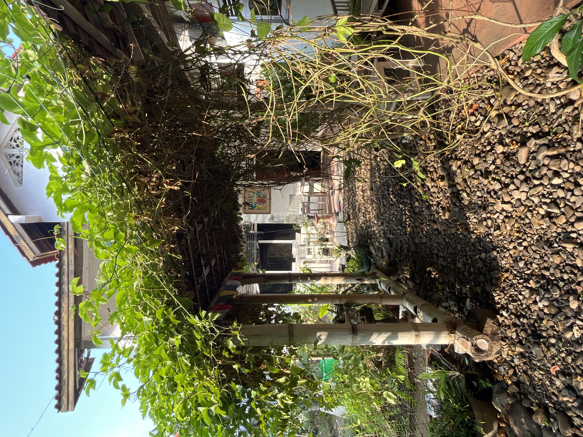 A covered walkway or patio area is seen from an outdoor perspective in the city of Karangkebagusan, Indonesia. The walkway is constructed with bamboo poles and is covered by a roof made of wood and thatch, over which a dense green vine has grown, creating a natural canopy. The ground is covered in small, dark, smooth stones. To the left, a lush green garden with various plants and a green bucket is visible. In the background, through the open sides of the walkway, a white building with several chairs and tables is visible, suggesting this is an outdoor seating or dining area. The sun is shining, casting shadows and highlighting the textures of the plants and stones.