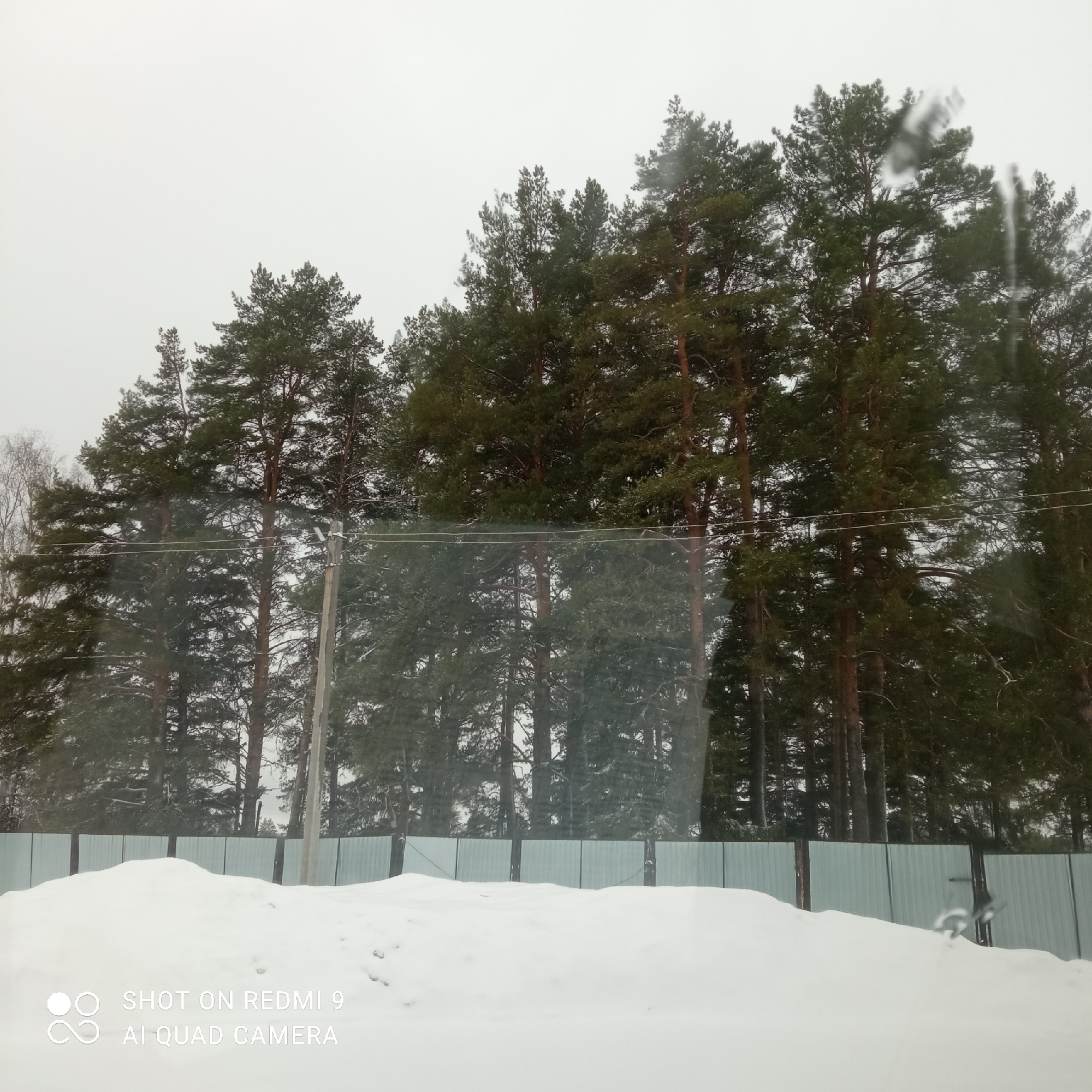 The image depicts a winter scene in Прикамский, Russia. A row of tall pine trees stands behind a light-colored metal fence. In front of the fence, there is a large snowdrift. The sky is overcast, suggesting a cloudy day. A utility pole is visible among the trees. The photo appears to have been taken from inside a building or vehicle, as evidenced by some possible reflections. The "SHOT ON REDMI 9 AI QUAD CAMERA" watermark is in the bottom left corner of the image.