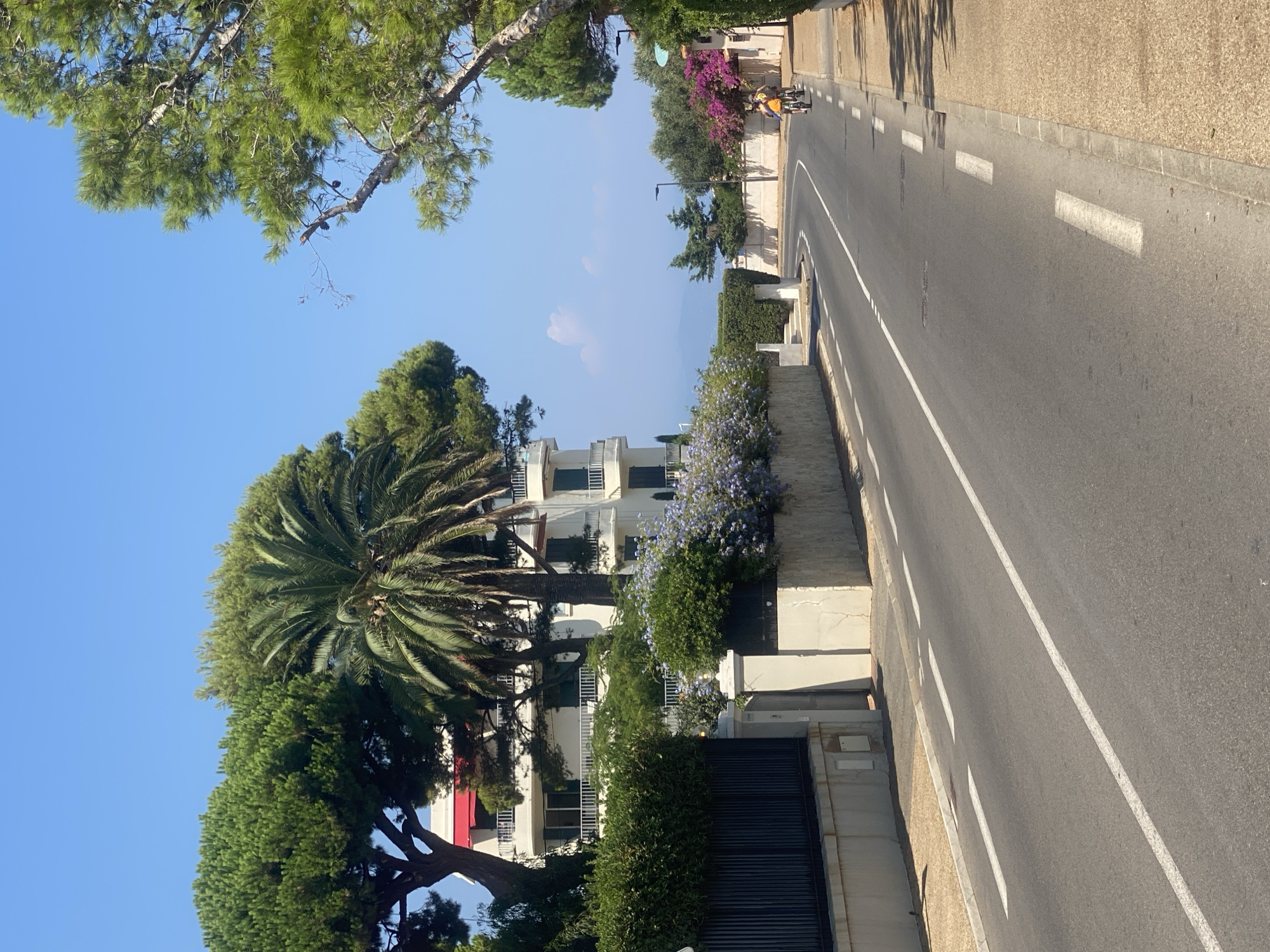 This image shows a road winding through a residential area in Antibes, France, likely near the coast given the clear blue sky and the presence of palm trees. On the left, a multi-story white building with balconies and a red awning is visible, partially obscured by lush green trees, including a tall pine and a prominent palm tree. A dark metal fence runs along the property line. In front of the building, a low stone wall is topped with dense green hedges and flowering purple bushes. On the right side of the road, a paved sidewalk is lined with more greenery and trees, with houses visible in the distance. Two people are riding bicycles down the road, one in front of the other, heading away from the camera. The road itself is asphalt with white lane markings. The scene is bathed in bright sunlight, indicating a daytime setting.