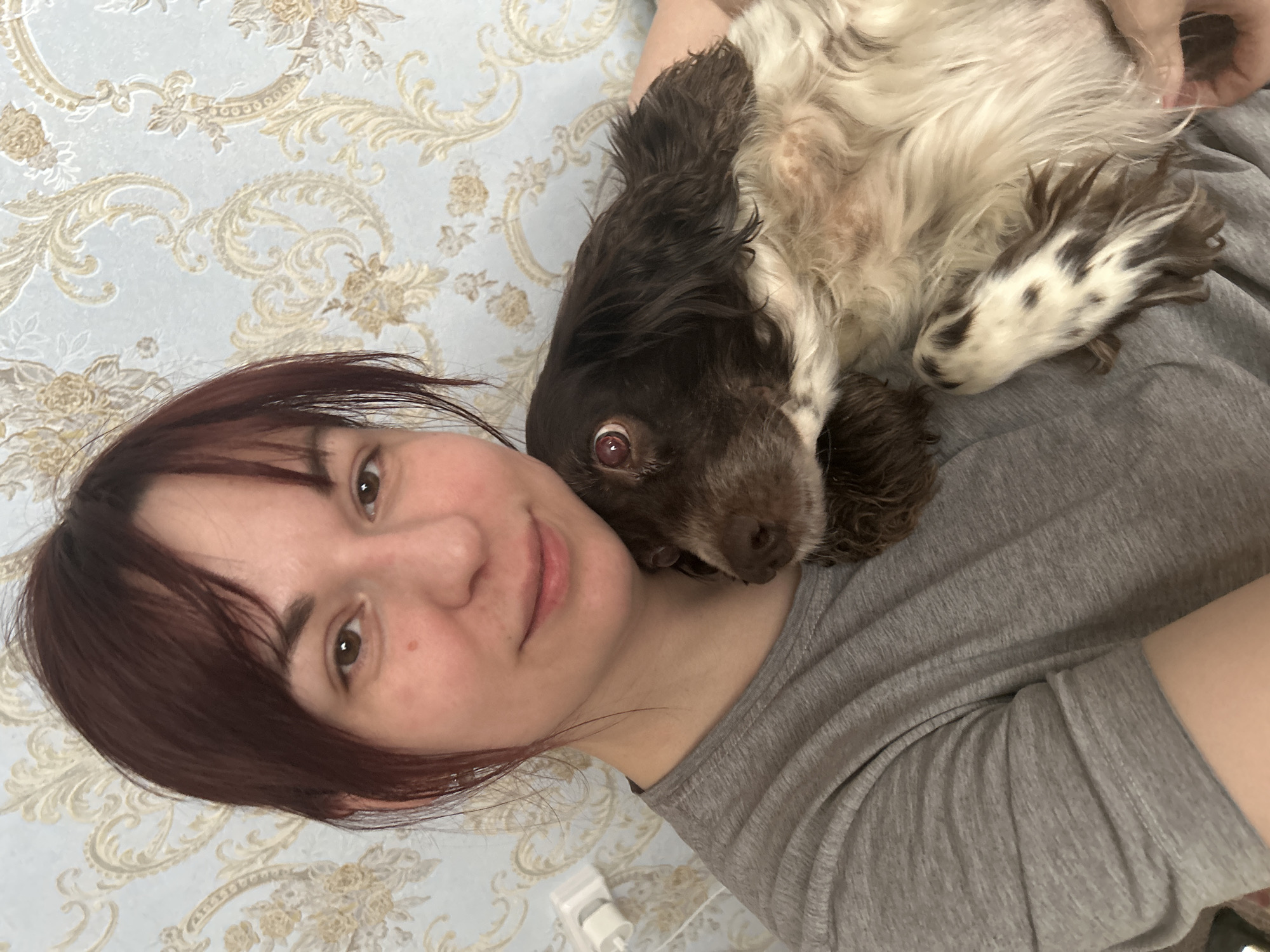 An indoor portrait taken in Фоки, Russia, features a young adult woman cuddling with a dog. The woman, positioned on the left of the frame, has dark reddish-brown hair, brown eyes, and a soft smile. She is wearing a grey t-shirt. A brown and white dog, likely a Spaniel breed, is resting its head on her right shoulder and chest. The dog has long, dark brown floppy ears and one eye shows a red-eye effect from the flash. Its fur is shaggy and appears relaxed against the woman. The background is a wall covered with light blue wallpaper featuring ornate golden-beige floral and scroll patterns. A portion of a white electrical outlet or charger is visible in the bottom right corner of the original image (bottom left if rotated upright). The image captures a tender, affectionate moment between the woman and her pet, conveying a sense of companionship and comfort. No text is visible in the image.
