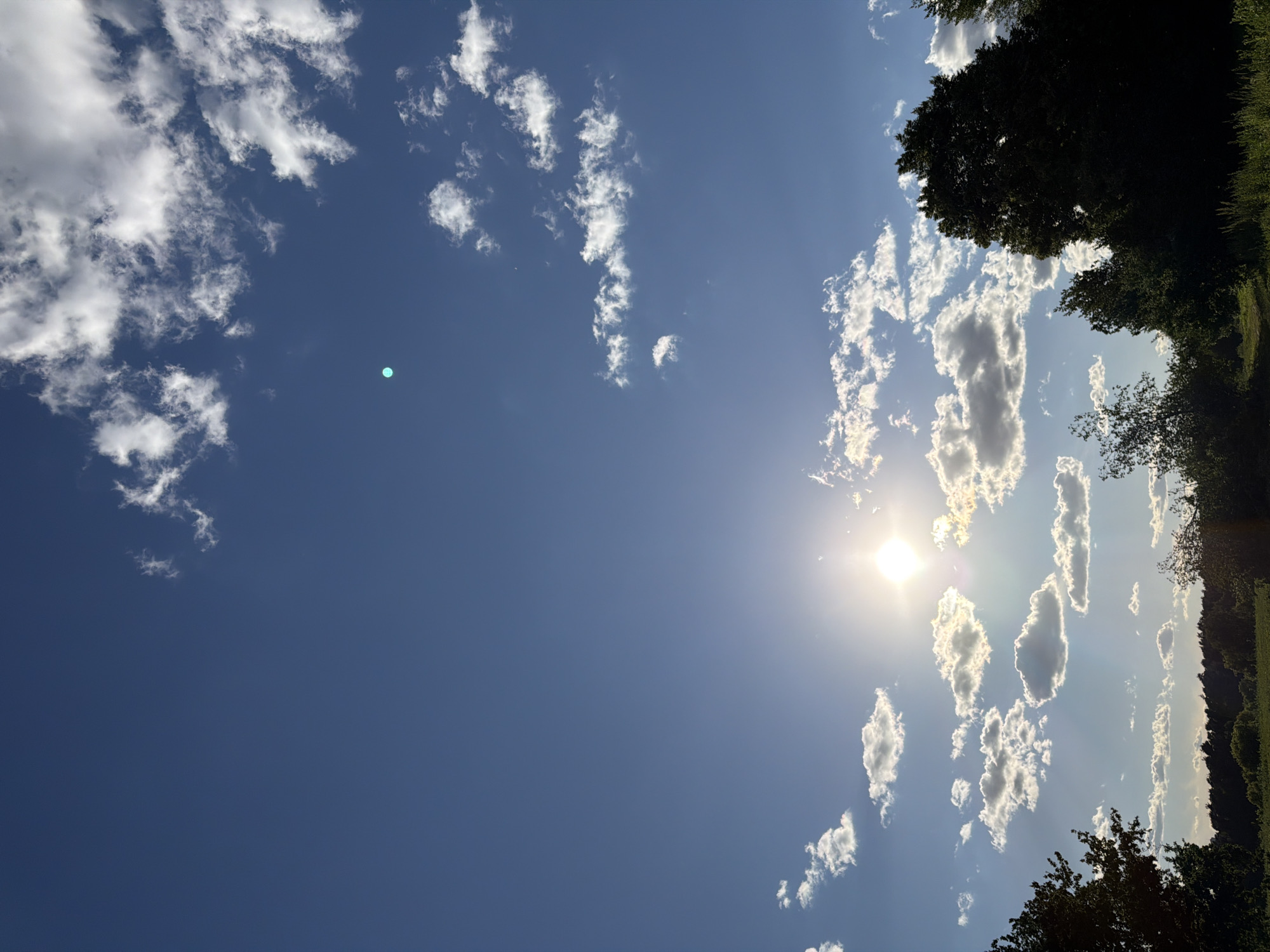 The image depicts a sunlit sky with scattered clouds above a silhouetted line of trees and vegetation, suggesting an outdoor, possibly rural or park-like setting. The sun is a bright, central feature, casting light through the clouds. The colors are dominated by blues of the sky and greens of the foliage, with white clouds and the bright glare of the sun. There is a faint, turquoise-colored circular anomaly in the upper portion of the sky. The scene appears to be captured during the daytime, likely late afternoon or early evening given the angle of the sun. No people, buildings, or distinct urban features are visible, making it difficult to ascertain a specific location within Moscow, Russia without further information.