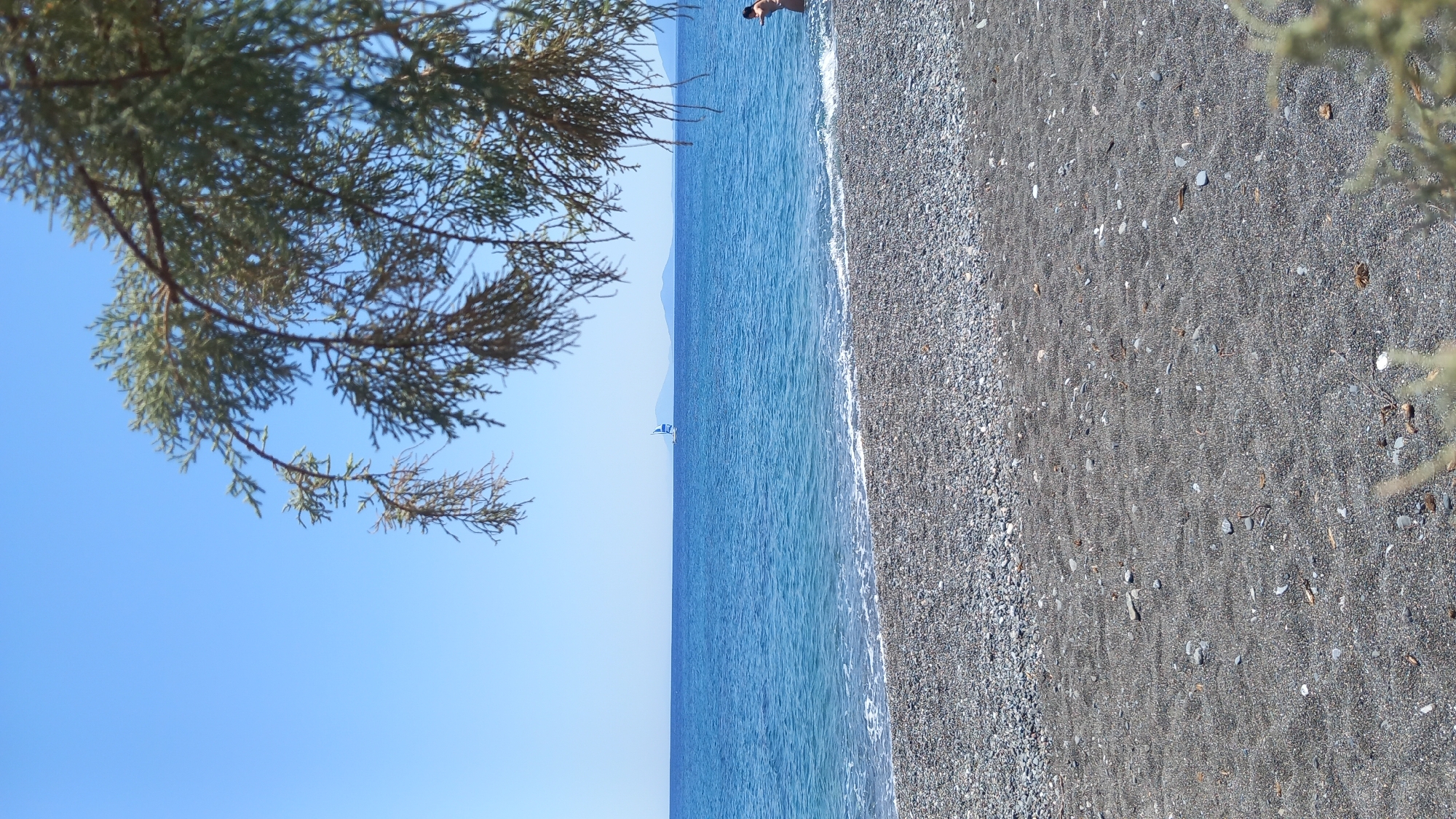 A vertical, eye-level shot captures a peaceful beach scene under a clear blue sky. In the foreground, a dark grey, pebbly beach transitions to finer sand with scattered pebbles and debris. The middle ground is dominated by the vibrant blue sea, with gentle waves lapping at the shore. A small sailboat with white and blue sails navigates the horizon. In the far distance, a hazy mountain range is visible. A person, partially visible on the right edge, stands at the water's edge. Overhanging the scene from the top is a branch of a pine tree, its needles casting a slight shadow and framing the view of the sea and sky.