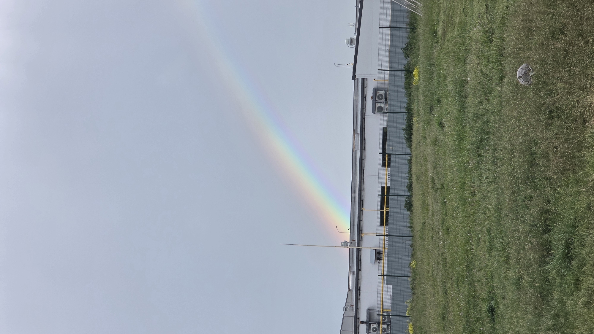 The image depicts an outdoor scene featuring a prominent rainbow arching across an overcast sky, with an industrial building and a grassy field below. The sky is a uniform light grey, but bright enough for the colorful rainbow to be clearly visible, extending diagonally from the upper left towards the lower right, appearing to terminate behind the building.
The building, situated in the midground, is a plain, light-colored, rectangular structure, possibly a factory or warehouse. Several external air conditioning units are mounted on its facade, and sections of bright yellow piping run along its base and beside the adjacent fence.
A tall, chain-link fence separates the building complex from a wide, unkempt grassy field that occupies the foreground and right side of the image. The grass is long and overgrown, with occasional small yellow flowers interspersed throughout. Partially embedded in the tall grass on the right is a weathered, grey-and-white football.
The scene suggests a period of recent rain or mist combined with sunlight, creating the conditions for the rainbow. There are no people present, and no discernible text appears within the frame. The setting conveys a quiet, perhaps slightly isolated, moment at the edge of an industrial area.
