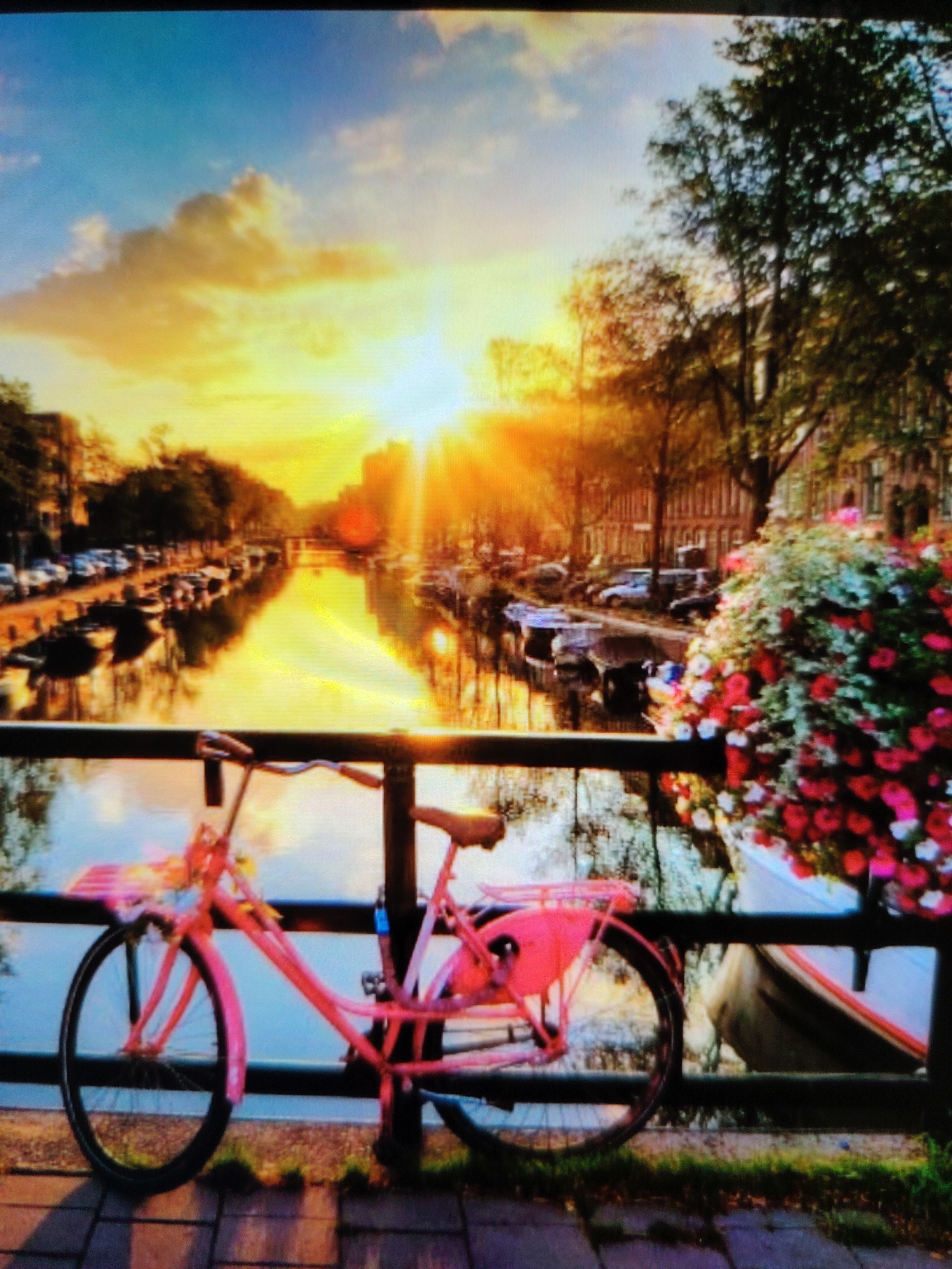 This image depicts a picturesque canal scene at sunset. A bright pink bicycle is parked on a bridge, its front basket adorned with flowers. The canal is lined with trees and buildings, and several boats are docked along the waterway. The sky is filled with dramatic clouds illuminated by the setting sun, casting a warm glow over the entire scene. The reflection of the sunset and the surroundings is visible in the calm water of the canal. There are no people or animals visible in the image. The image does not show any specific location in the city of Balashikha, Russia.