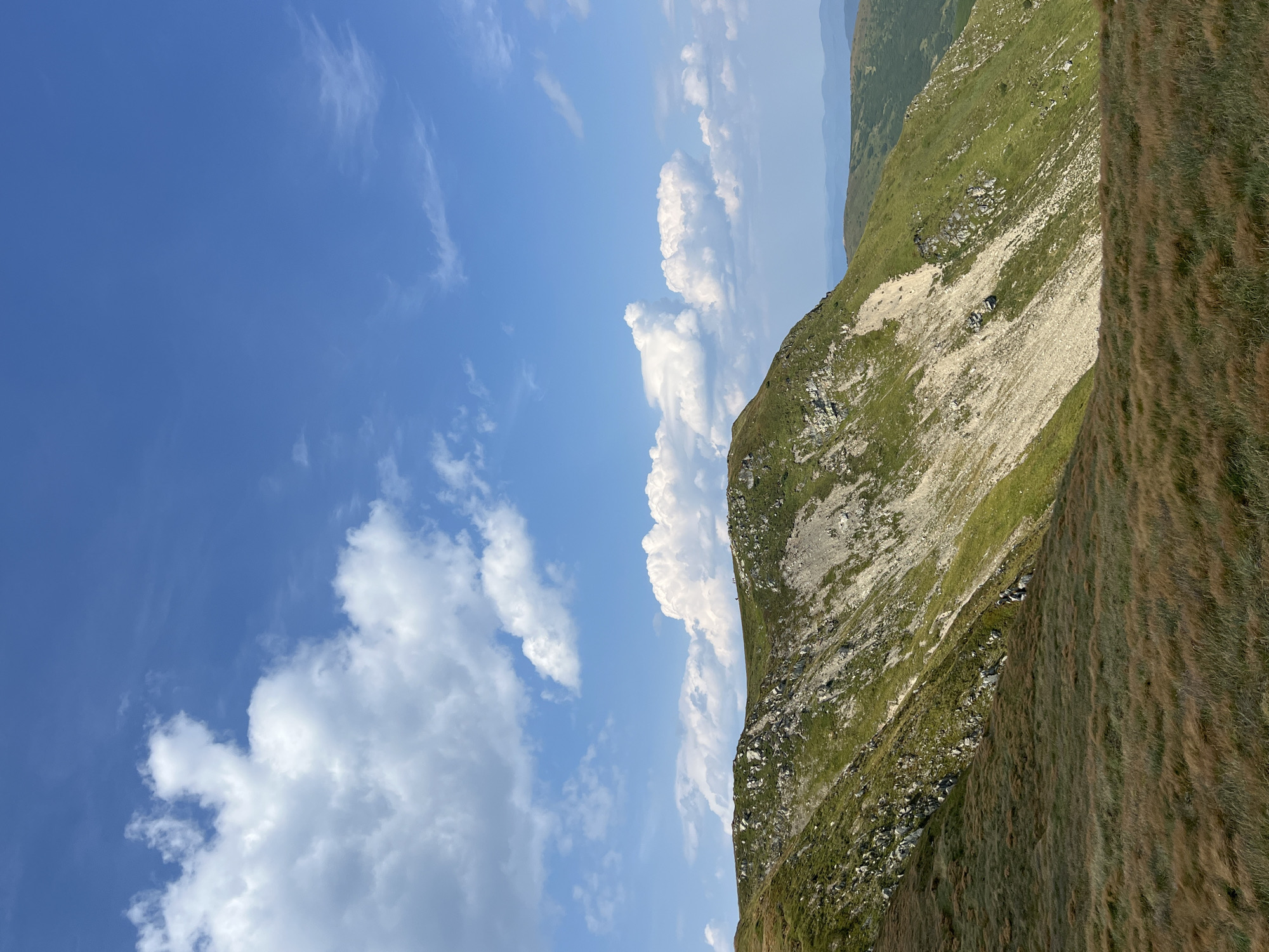 A panoramic view of a mountain landscape in Kryvopillia, Ukraine, under a bright blue sky dotted with white clouds. The foreground is covered in dry, golden-brown grass, indicating a summer or autumn season. The midground features a steep, grassy mountain slope interspersed with rocky outcrops and scree. A prominent lighter-colored scree slope is visible on the mountain's face. In the distance, rolling green hills recede into the horizon. Several small figures, likely hikers, are visible on the crest of the mountain, suggesting human presence and activity in the area. The overall scene depicts a natural, mountainous environment.