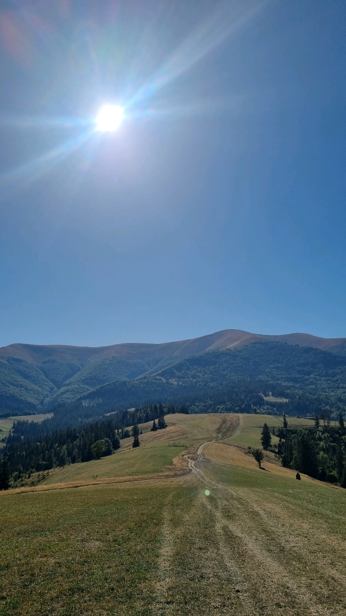 The image depicts a panoramic view of a mountainous landscape under a clear blue sky. The sun is high in the sky, casting bright rays across the scene. In the foreground, a grassy slope with some dry patches leads down to a dirt road that winds its way through the terrain. The road is marked with tire tracks, suggesting it is used by vehicles.
Further into the scene, rolling hills covered in dense green forests are visible. The forests appear to be primarily coniferous trees, with some deciduous trees interspersed. The hills recede into the distance, forming layers of mountains that are progressively less distinct due to atmospheric perspective. The overall impression is one of a vast, natural landscape, typical of rural areas like Izky, Ukraine. There are no people or animals visible in the image. The environment is natural and undeveloped, with the exception of the dirt road.