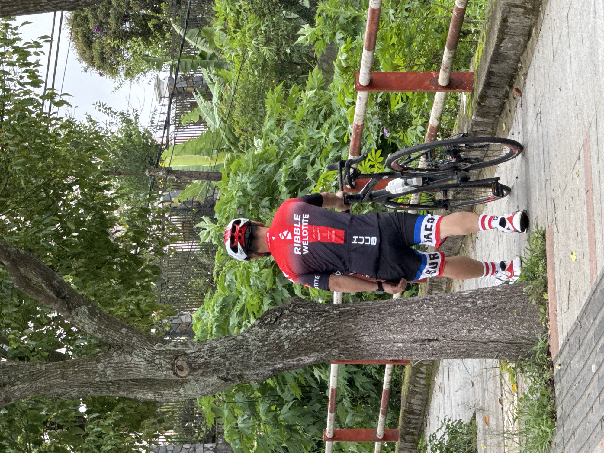 An outdoor, slightly overcast, eye-level shot depicts a male cyclist standing on a paved sidewalk next to his bicycle, amidst lush greenery. The cyclist is seen from a three-quarter back view, wearing a red and black cycling jersey with "RIBBLE WELDITE" prominently displayed in white text on the back, along with "HCDD" below it. He also wears black cycling shorts with red and white accents, white and red striped socks, and white cycling shoes. A white helmet with red detailing and dark sunglasses complete his attire. His left hand rests on the handlebar of his black road bicycle, which has a white water bottle in its cage.
The cyclist and bike are positioned alongside a simple railing made of white and red painted metal bars, separating the sidewalk from what appears to be a lower drop or embankment covered in dense green foliage. To the left, a large tree with thick, gnarled branches and textured bark stands, partially obscuring the background. Beyond the railing and tree, a variety of tropical-looking plants, including what appear to be banana leaves, are visible, suggesting a humid climate. The paved sidewalk has a reddish-brown stripe running along its edge. The sky above is bright but uniformly gray, indicating an overcast day. The overall impression is a break during a cycling activity in a green, semi-urban or rural setting. The scene is located in Phường Xuân Hương - Đà Lạt, Vietnam.