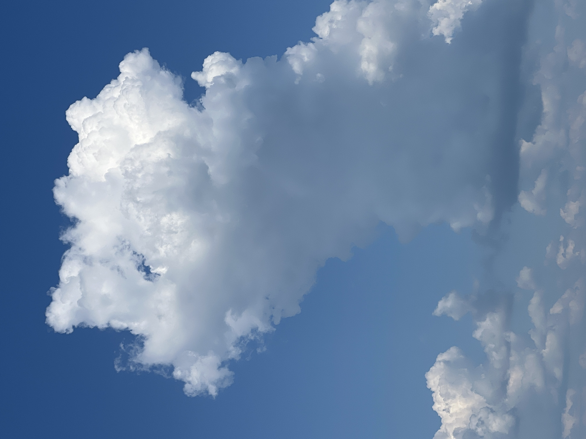 This image depicts a daytime sky with a dominant, large cumulonimbus cloud formation against a clear blue sky. The cloud is voluminous and appears to be in a state of active development, with a bright white, textured top and a darker, more shadowed base. Smaller, wispy clouds are visible in the lower portion of the frame, suggesting a layered cloud structure. The image provides no information about the city of Borovoye, Russia, or any specific human activity.