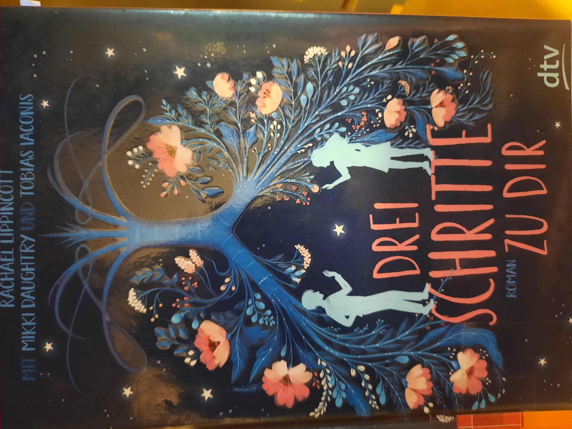 The image shows the cover of the book "Drei Schritte zu dir" by Rachael Lippincott, with text including "MIT MIKKI DAUGHTRY UND TOBIAS IACONIS" and "ROMAN". The cover features an illustration of a stylized tree or lungs with floral elements and two silhouetted figures. The book cover is a product of the dtv publishing house. The image itself was taken in Rosenheim, Germany, specifically within the Domschatzkammer und Städtisches Museum, which is located at Max-Josefs-Platz 2, 83022 Rosenheim. The book is displayed on a shelf, likely within the museum's bookstore or a display related to literature or art.