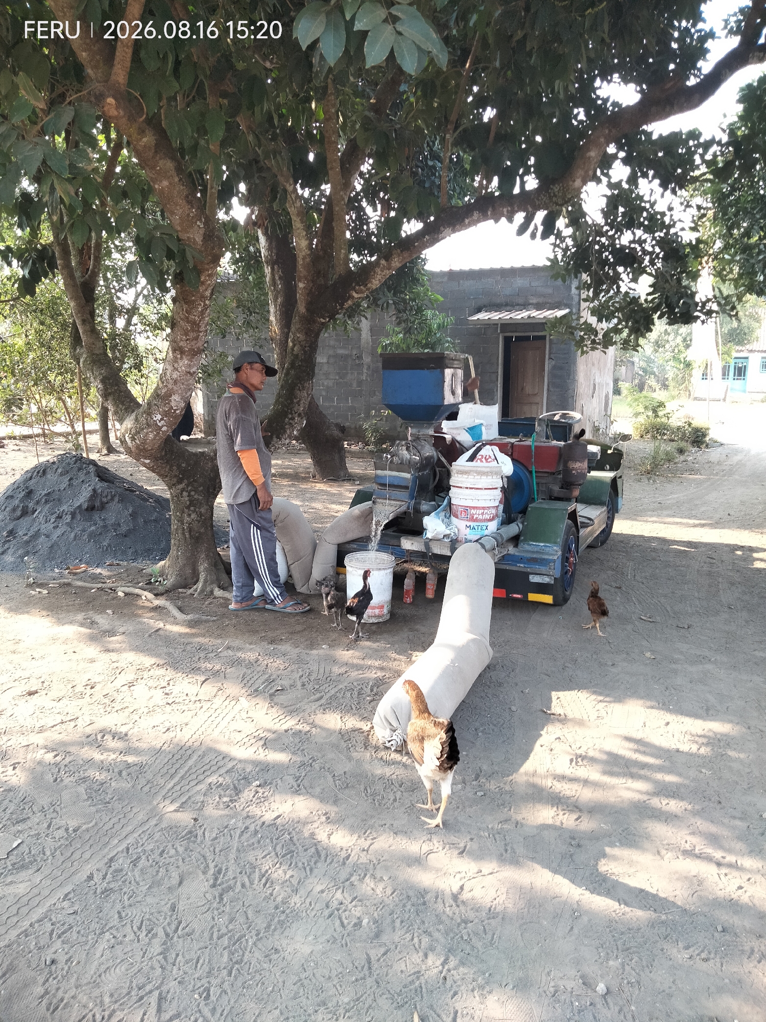 In the city of Boreng, Indonesia, a man stands under the shade of a large tree next to a pile of dark, granular material. He wears a gray t-shirt, orange long-sleeved shirt, gray pants with white stripes, and flip-flops. A dark baseball cap is on his head. Beside him are two large, white sacks. In the background, a piece of machinery with a blue hopper and red and green components is visible. Two chickens are on the ground near the sacks and the machinery, with another chicken further away to the right. The ground is dirt and sand, with visible tire tracks and footprints. A simple building with a wooden door and a metal roof stands behind the machinery, and other structures and vegetation are visible in the distance. The scene appears to be an outdoor work area, possibly related to construction or agriculture.