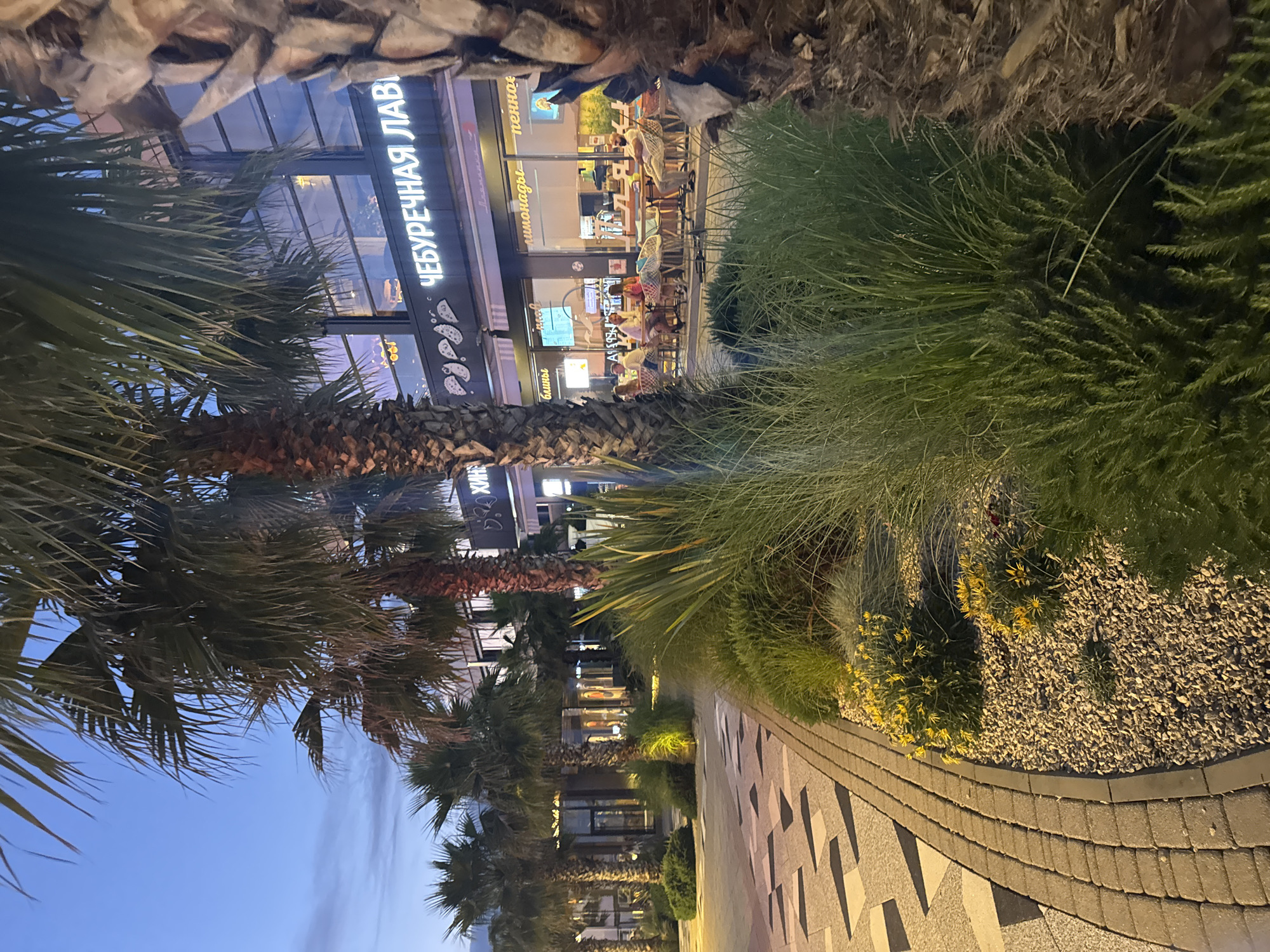 This image depicts an outdoor seating area of a restaurant complex in Sochi, Russia, as dusk settles. Palm trees line the walkway and frame the view of the establishment. The building features large glass windows, revealing a warmly lit interior and patrons seated at tables. A prominent sign above the windows reads "ЧЕБУРЕЧНАЯ ЛАВ" in bright neon letters. The walkway is paved with interlocking bricks and decorative geometric patterns, bordered by a strip of gravel and lush green plants, including tall grasses and small yellow flowers. Several people are visible seated at outdoor tables, engaged in conversation and enjoying their evening. The sky is a deep blue, indicating the transition from day to night.