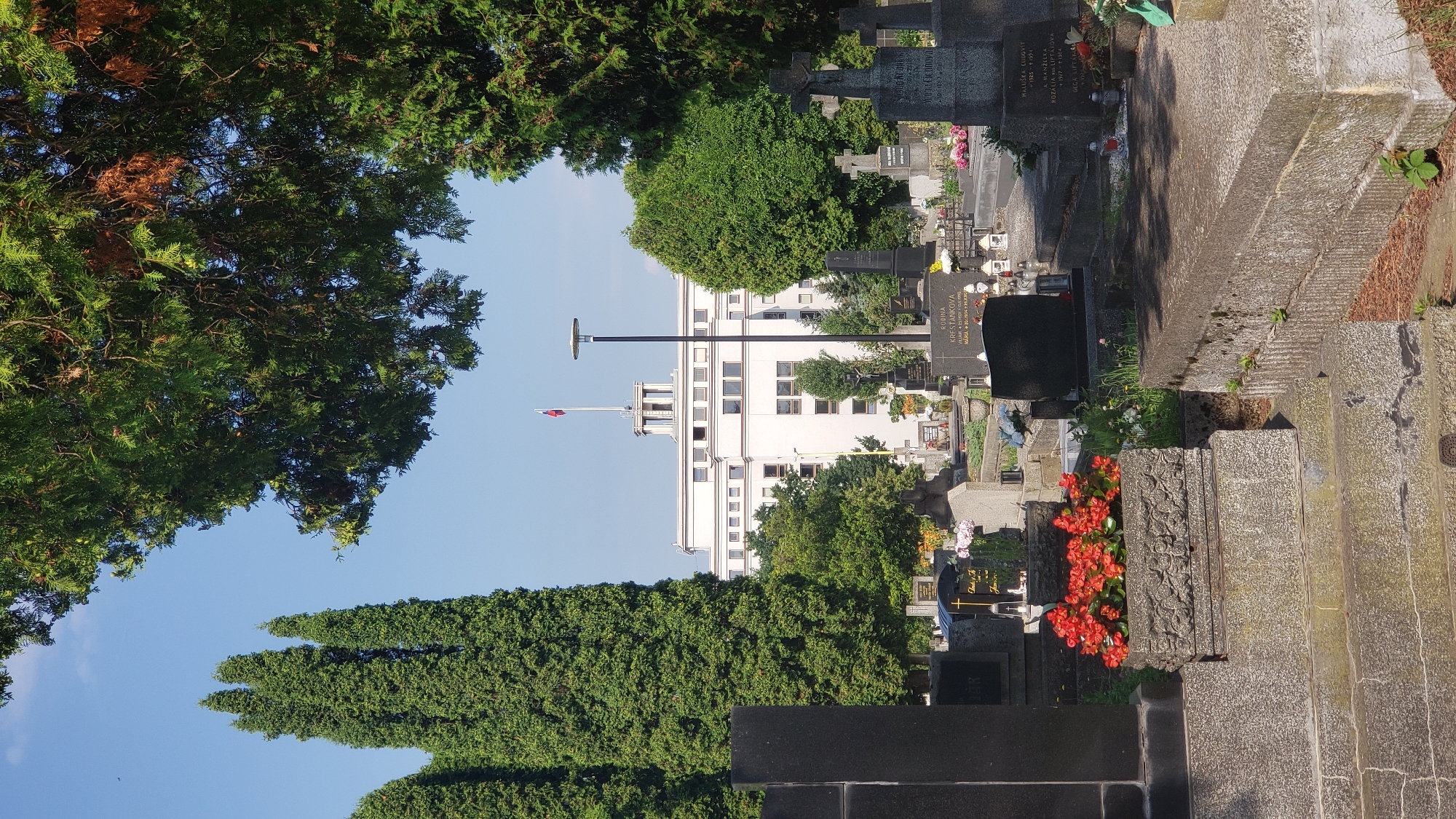 The image depicts a cemetery in Prešov, Slovakia, with a large, white, modern building in the background. The building has a flat roof and is topped with a tower and a flagpole flying a flag, possibly the Slovak flag. The cemetery itself is filled with gravestones, crosses, and floral arrangements. Several tall, slender evergreen trees stand within the cemetery grounds. The scene is illuminated by sunlight, suggesting it is daytime. There are no people visible in the image.