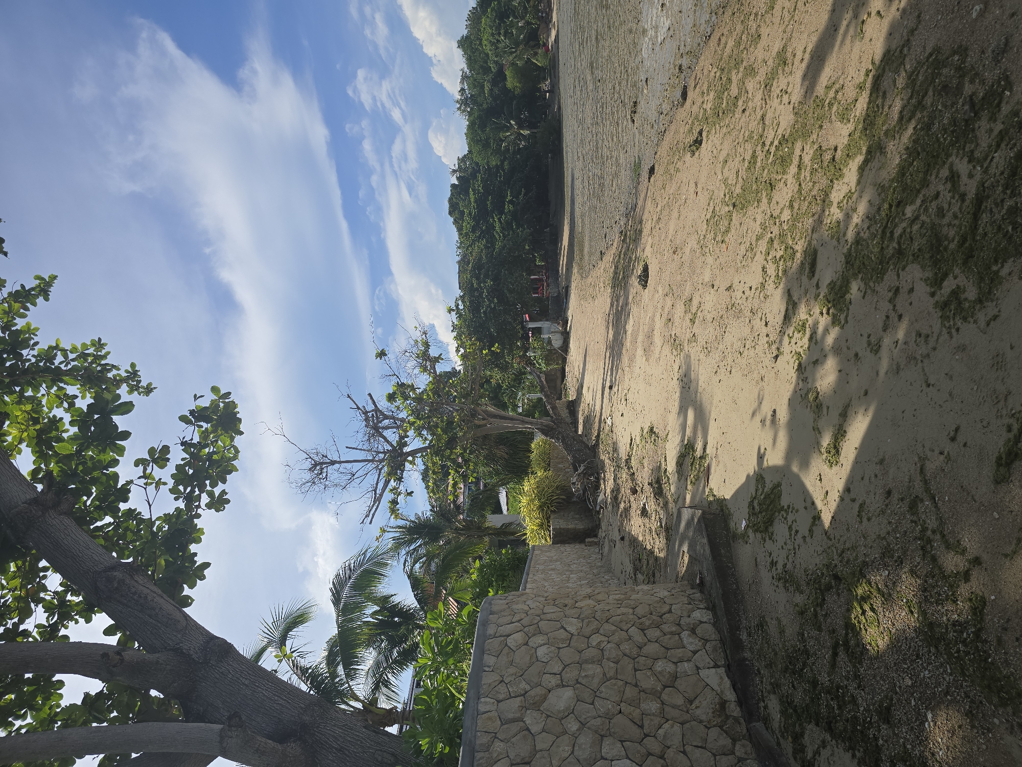 The image depicts a section of a sandy beach in Baan Chaweng Noi, Thailand. A large tree with broad leaves dominates the upper left of the frame, casting shadows on the sand. To the left, a curved stone wall made of irregular light-colored stones runs along the edge of the beach. Beyond the wall, lush green vegetation and palm trees are visible, with hints of buildings peeking through.
The beach itself is a light brown sand with scattered patches of green seaweed. The tide appears to be out, revealing a muddy, textured area of the seabed closest to the water's edge. In the background, a dense line of trees forms a natural boundary, with more buildings and structures visible amongst them. The sky above is a bright blue with scattered white, wispy clouds. There are no people or animals visible in the scene. The overall impression is a tranquil, tropical beach setting.