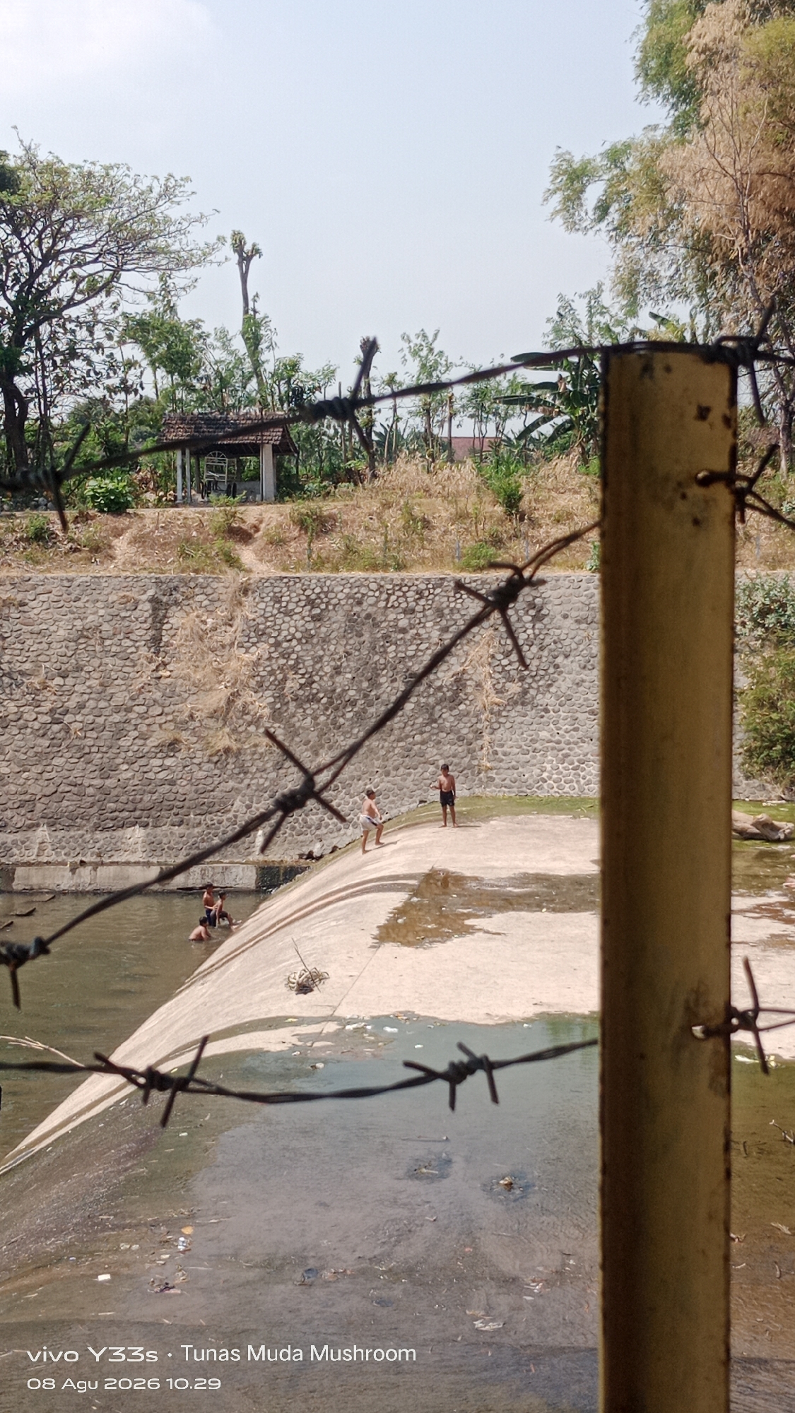 A daytime, outdoor, eye-level shot shows a concrete dam with a trickle of water flowing over it. The dam is covered with debris and trash. Three young boys are playing in the shallow water at the base of the dam, and two more boys are standing on the concrete surface of the dam. The dam is bordered by a stone wall on the left and a sandy embankment with dry brush on the right. In the background, trees and a small, open-sided structure with a tiled roof are visible. A wooden post and barbed wire fence are in the foreground, obscuring part of the view. The water appears murky and polluted. The scene suggests a rural or semi-rural setting. The lower left corner displays a watermark with "vivo Y33s • Tunas Muda Mushroom 08 Agu 2026 10.29". The timestamp suggests the photo was taken on August 8, 2026, at 10:29 AM.