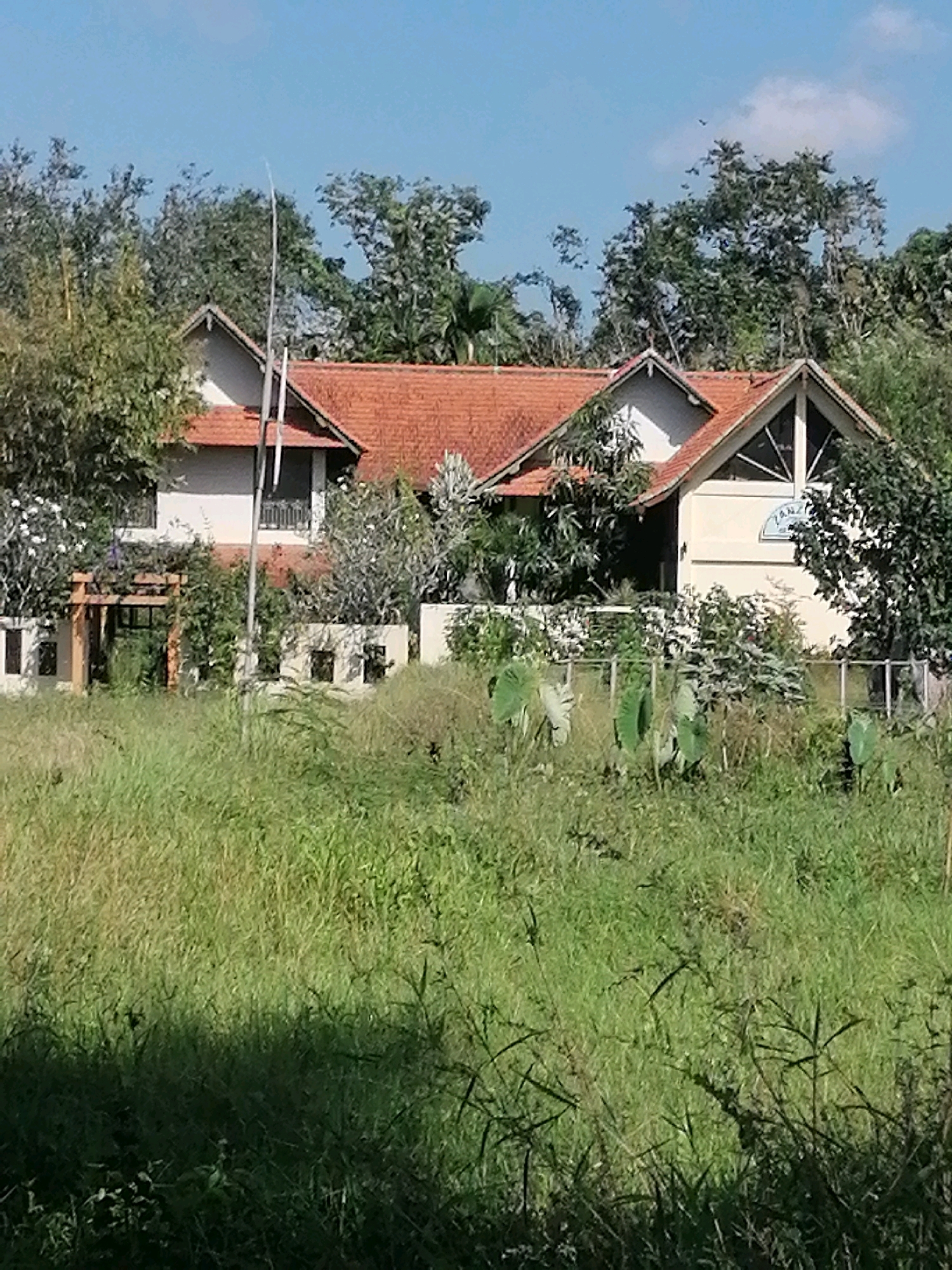 A medium shot shows a partially obscured, light-colored building with a reddish-brown tiled roof surrounded by lush green foliage and trees under a bright blue sky with scattered clouds. The building appears to be a house or a small resort. In the foreground, tall, dry grass dominates the scene, with some darker green vegetation interspersed. The house has several windows and a visible balcony railing. A sign with blue lettering is visible on the front of the building. The overall impression is one of a tropical, slightly overgrown setting. The scene is likely from Ubud District, Indonesia, given the architectural style and vegetation.