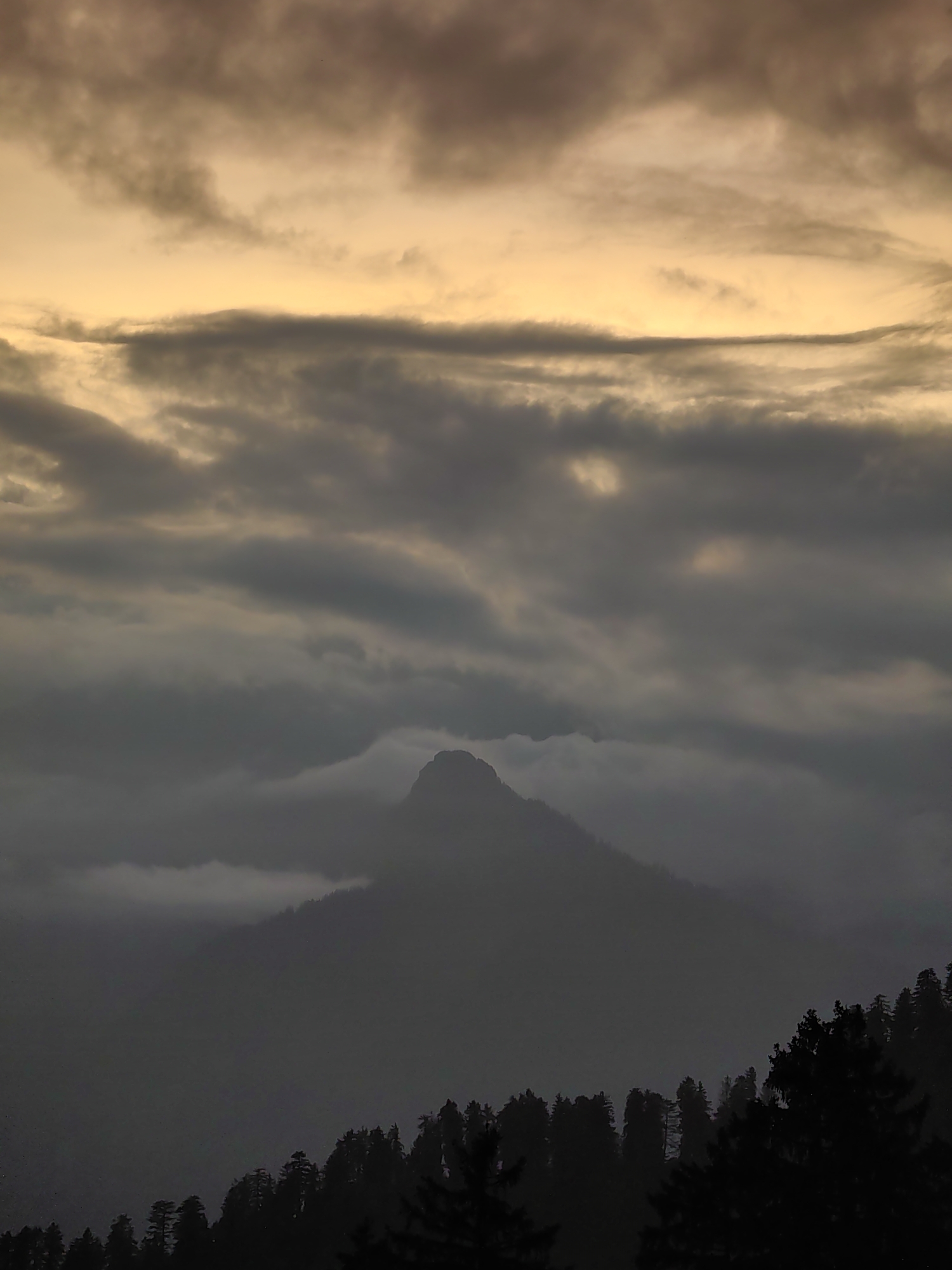 The image captures a moody, atmospheric view of a mountain peak emerging from thick clouds, likely taken in the vicinity of Aleo, India, a region known for its mountainous terrain. The sky is dominated by swirling clouds, with a warm, golden light breaking through the upper atmosphere, suggesting either sunrise or sunset. The mountain itself is silhouetted against the lighter sky, partially obscured by layers of mist and fog, giving it a mysterious and imposing presence. Below the mountain, a dense line of dark, shadowy trees forms the foreground, their forms indistinct due to the low light conditions and atmospheric haze. The overall impression is one of natural grandeur and the powerful forces of weather shaping the landscape. There are no people or visible human activity in the frame.