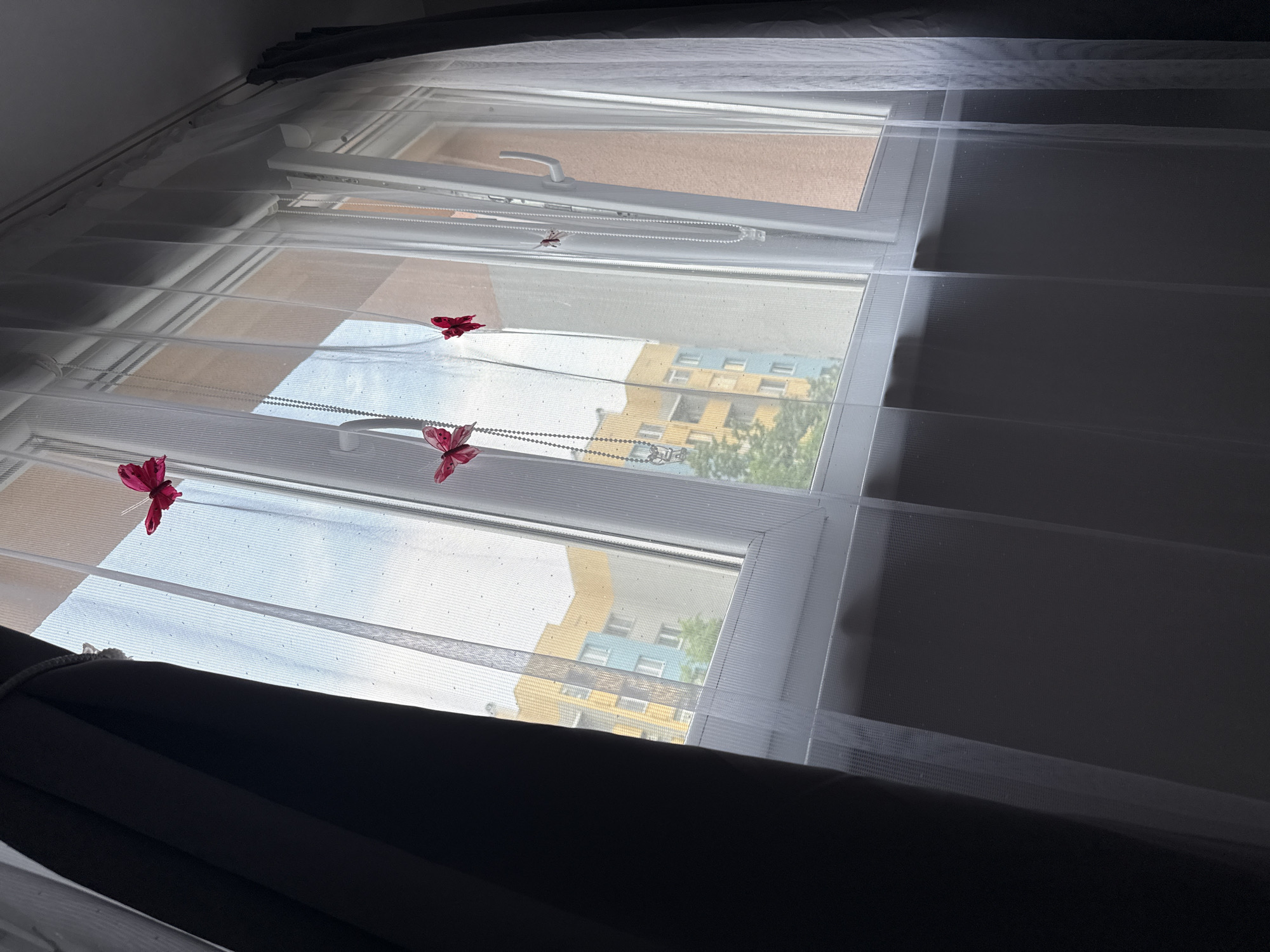 The image captures an indoor scene looking out through a window, providing a glimpse of the exterior and showing decorative elements inside. The focal point is a white-framed window, partially covered by sheer white day-night blinds with horizontal opaque stripes. Three red or pink decorative butterflies are attached to these blinds. Notably, a small lizard or gecko is perched on one of the sheer sections of the blinds in the upper middle part of the window. Two pull cords for operating the blinds are also visible.
Outside the window, a multi-story building with distinct yellow and light blue sections can be seen, suggesting an urban or suburban setting, specifically in Stara Zagora, Bulgaria. Green foliage from trees is also visible, hinting at some greenery around the buildings. The bright light coming through the window indicates it is daytime, and the sky appears clear.
On the left and bottom edges of the frame, dark, heavy curtains are partially visible, suggesting they are drawn back to allow light in. The lighting creates a strong contrast, with the window area being brightly lit by natural sunlight, while parts of the room interior, particularly in the corners, appear darker. There is no visible text in the image.