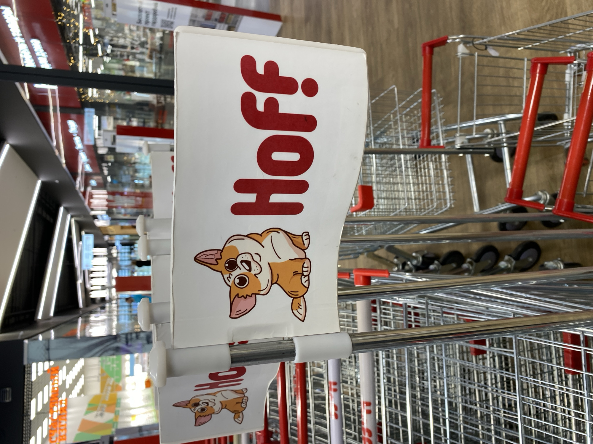 The image, taken indoors, depicts a row of shopping carts at a HOFF store, possibly the one located in Murino, Russia, given the Russian lettering on the sign. A white sign with the word "Hoff" in red, along with a cartoon drawing of a reclining corgi dog, is affixed to the handles of the carts. The shopping carts are made of silver metal with red handles. The background shows an out-of-focus view of the store's interior, featuring shelves, lighting fixtures, and merchandise.