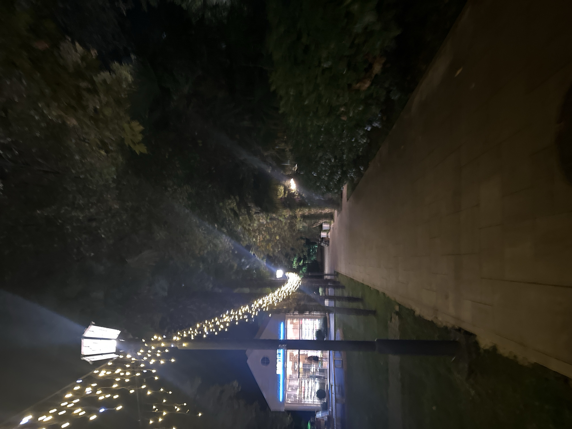 A paved walkway lined with trees and illuminated by decorative lights leads towards a building. The building appears to be a small, modern structure with large glass windows and a light-colored facade. A neon sign with blue lettering is visible above the entrance. Several lampposts, decorated with strings of yellow lights, are positioned along the walkway. The scene is set at night, with the surrounding trees casting shadows and the lights creating a festive atmosphere. The location is identified as a park or public area in the city of Sochi, Russia.