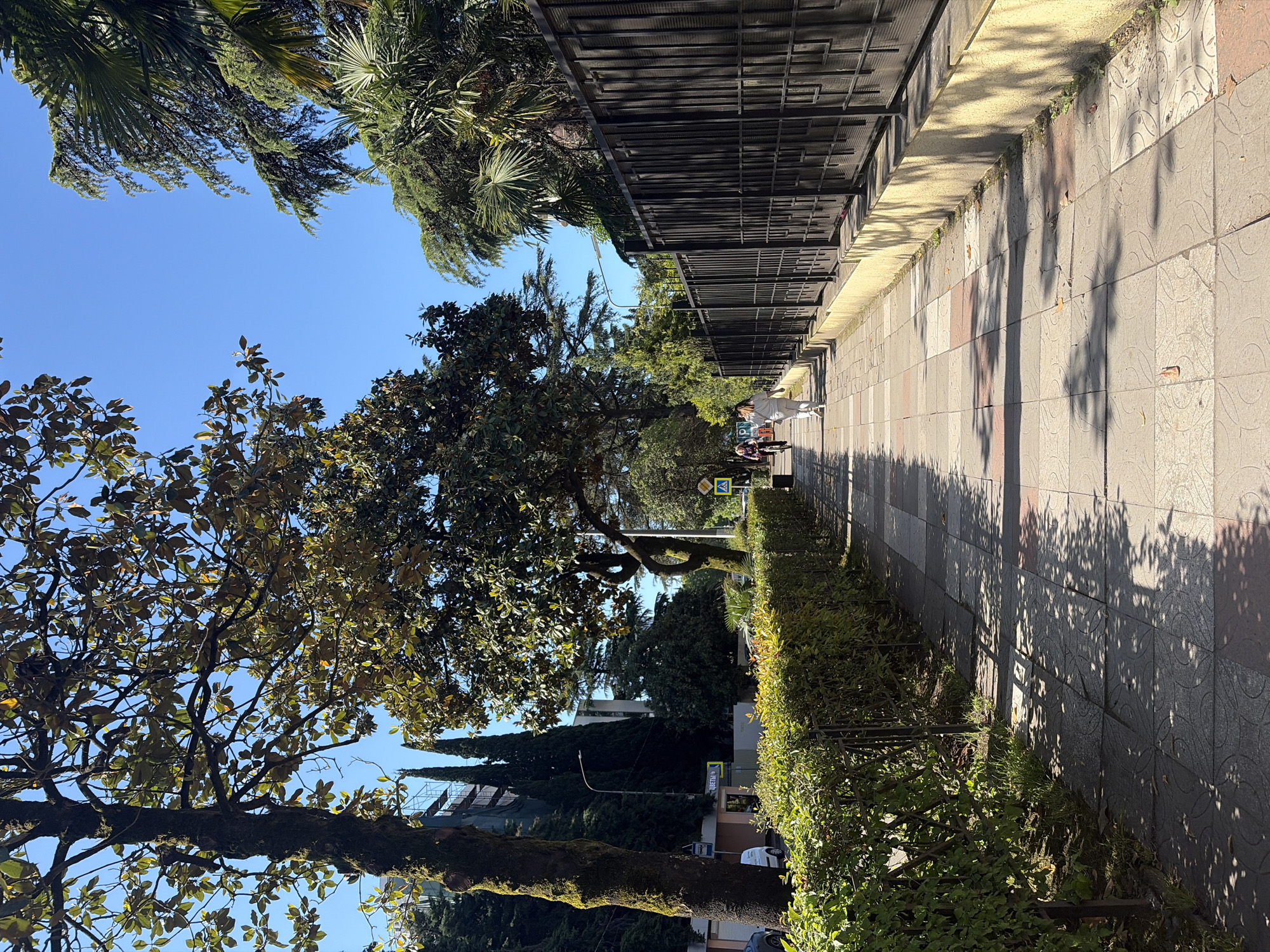 The vertically oriented image captures a sunny street scene, characteristic of a southern, subtropical environment, consistent with Sochi, Russia. A paved sidewalk, made of light-colored tiles with circular patterns, extends from the foreground towards the background on the right. Long, distinct shadows of trees and other structures stretch across the sidewalk, indicating bright sunshine and suggesting either morning or late afternoon.
To the right of the sidewalk, a dark, ornate metal fence runs parallel to the path, bordered by a dense, manicured hedge and various trees. On the left, a variety of lush green trees forms a canopy, including large trees with broad leaves (possibly magnolias), palm trees, and tall, slender conifers. A clear, bright blue sky is visible through the gaps in the foliage.
In the mid-ground, a few indistinct figures are walking on the sidewalk, appearing as pedestrians. Further down the street, a yellow square sign with a black walking figure, indicating a pedestrian crossing, is visible. Through the trees in the distance, parts of buildings and what might be scaffolding can be seen. A blue sign with white Cyrillic text, reading "ДЕЖУРНАЯ" (meaning "Duty" or "On call"), is present on a building or post, hinting at a commercial or service establishment. The overall impression is one of a pleasant, calm day in a green, well-maintained urban area.